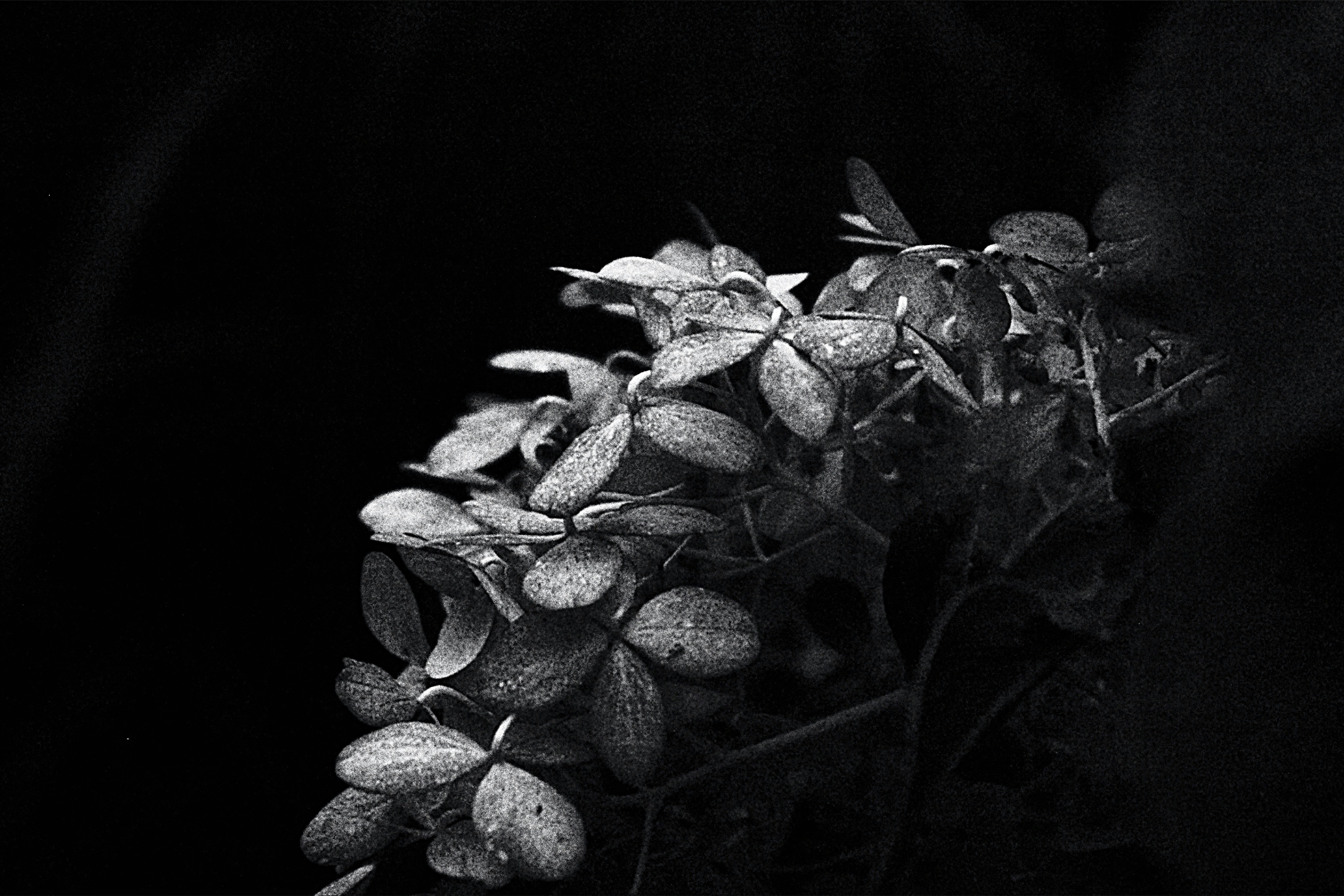 Photo by lisa_duqlaw