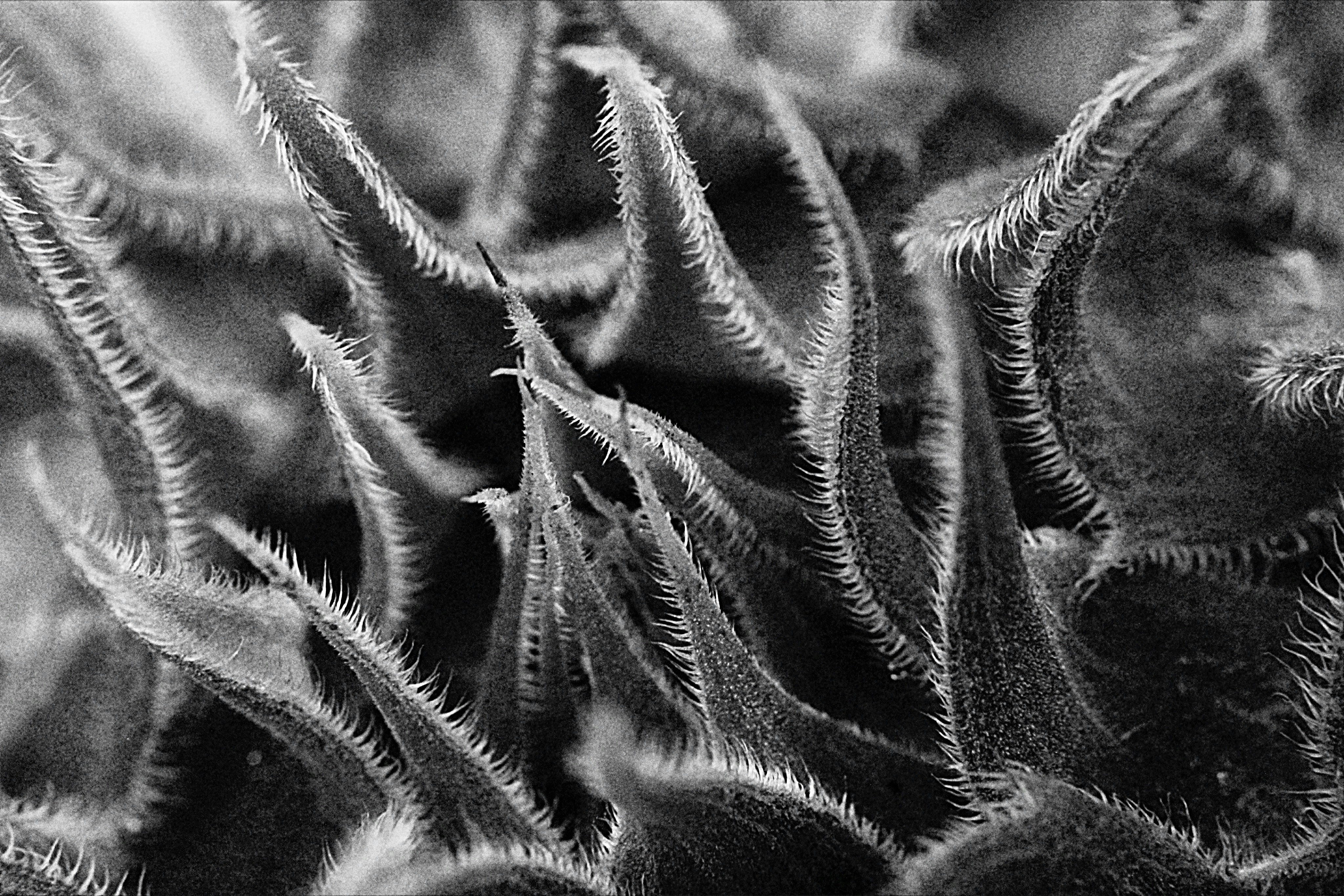 Photo by lisa_duqlaw