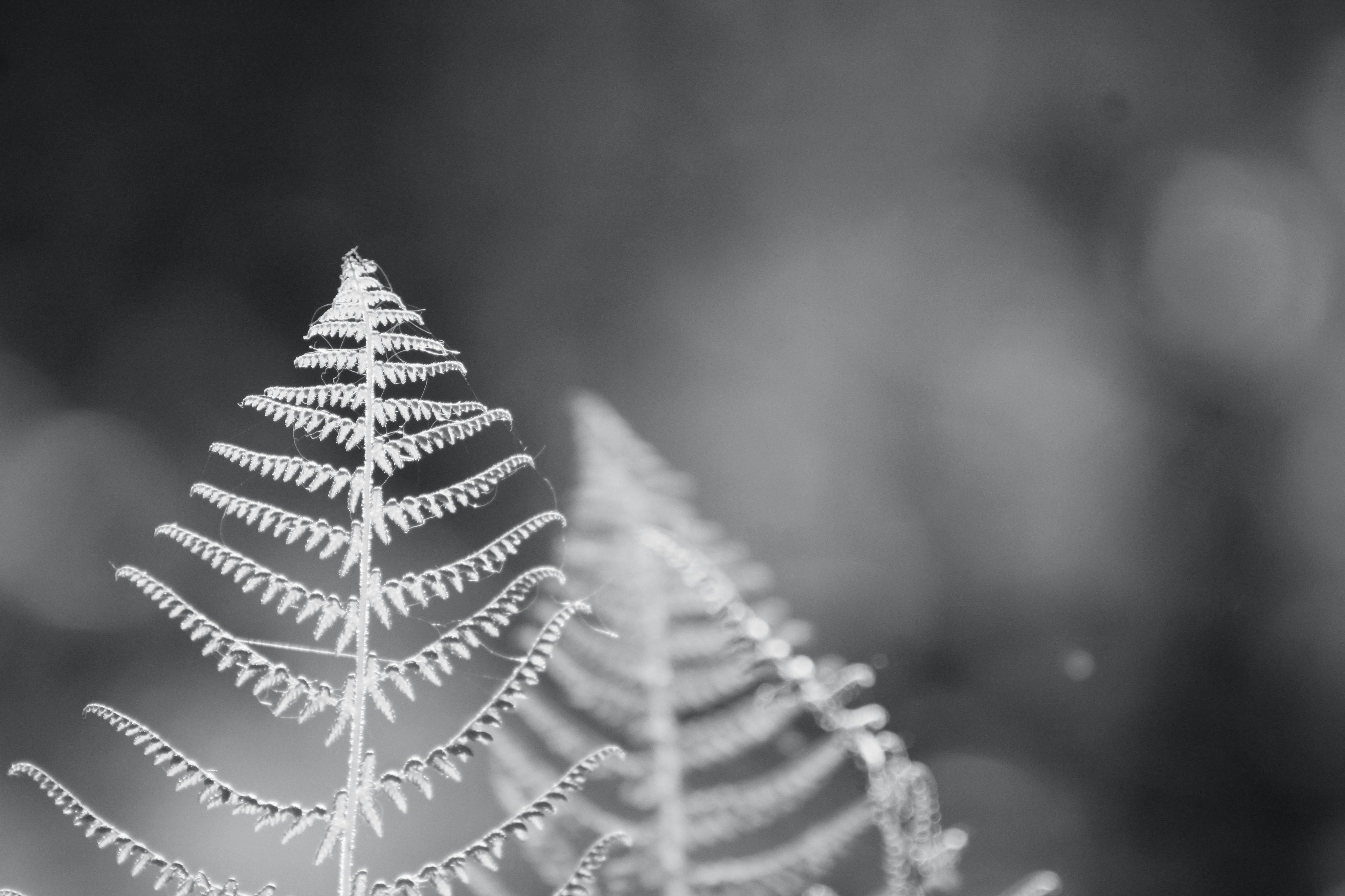 Photo by lisa_duqlaw