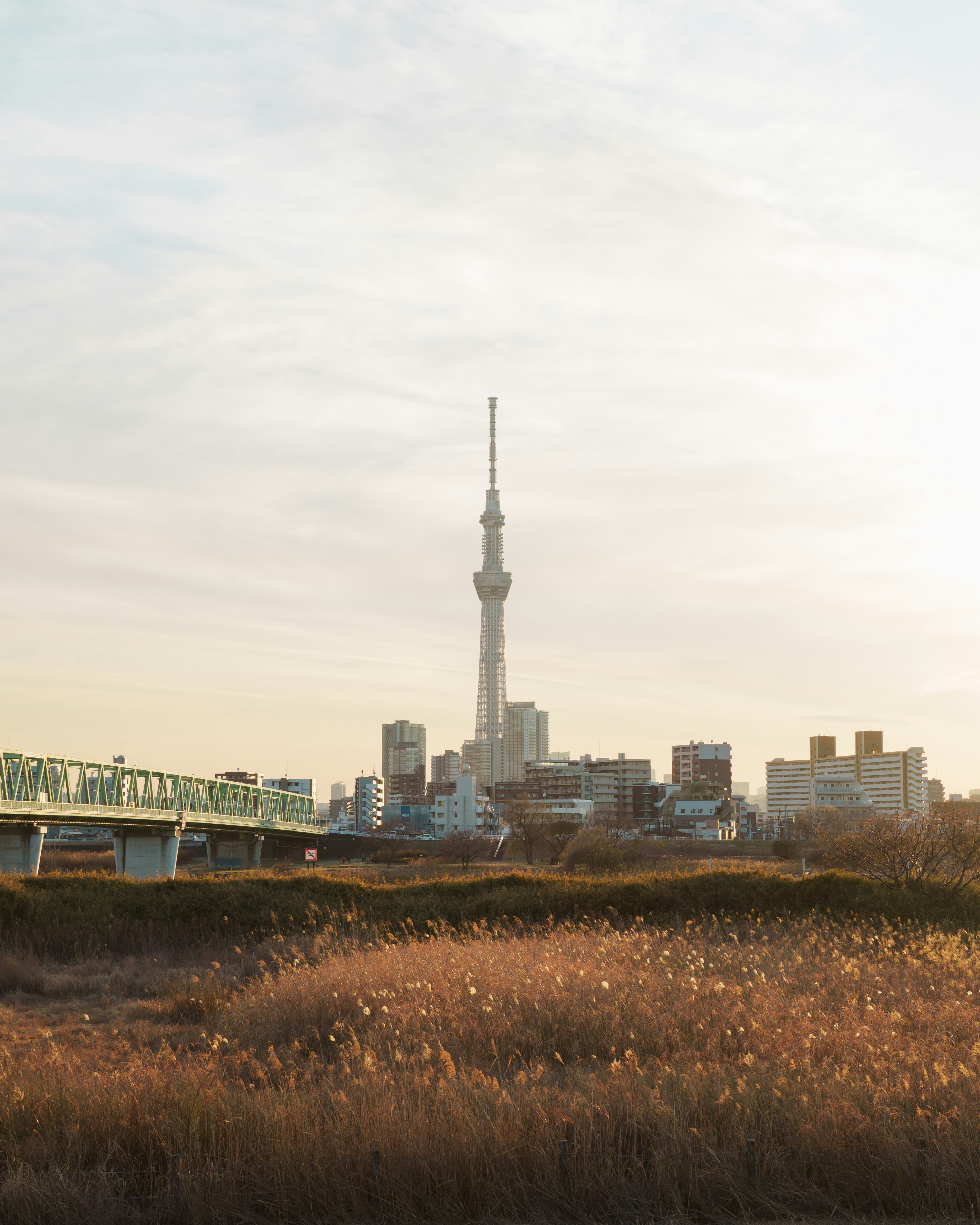 Cityscape with tall tower and bridge over dry grass