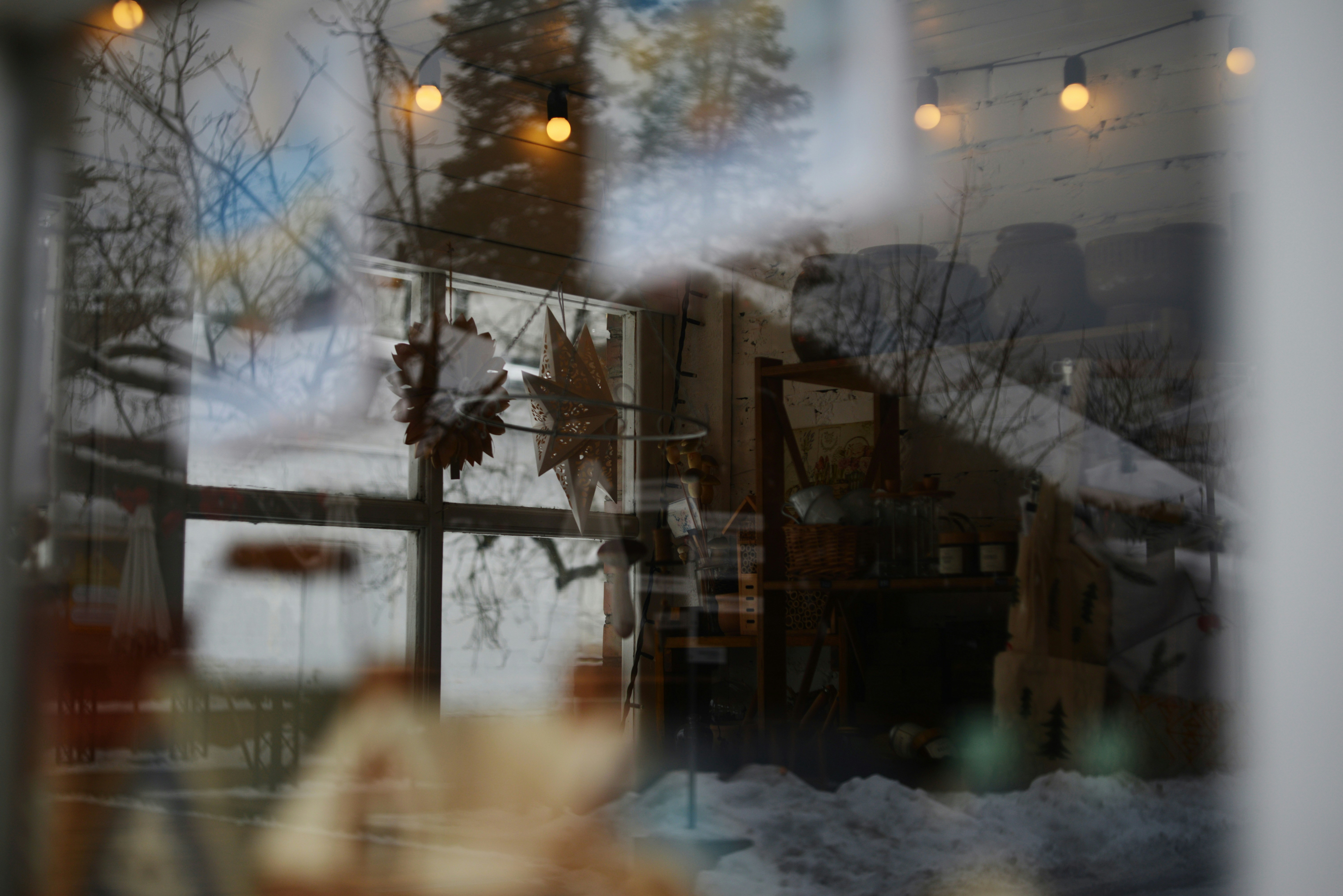 Reflet des arbres et des lumières sur une fenêtre