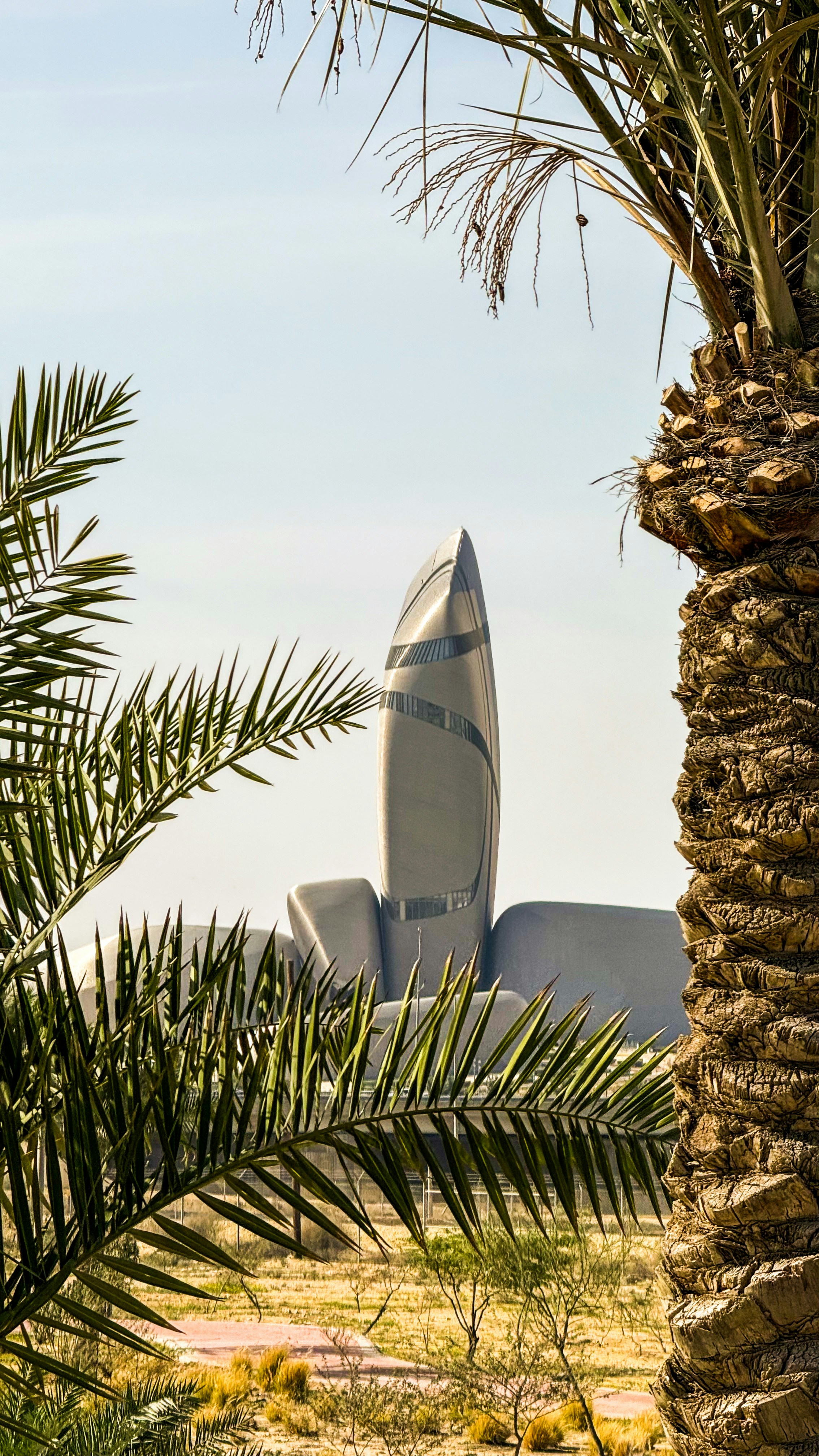 Modern building framed by palm trees under a clear sky