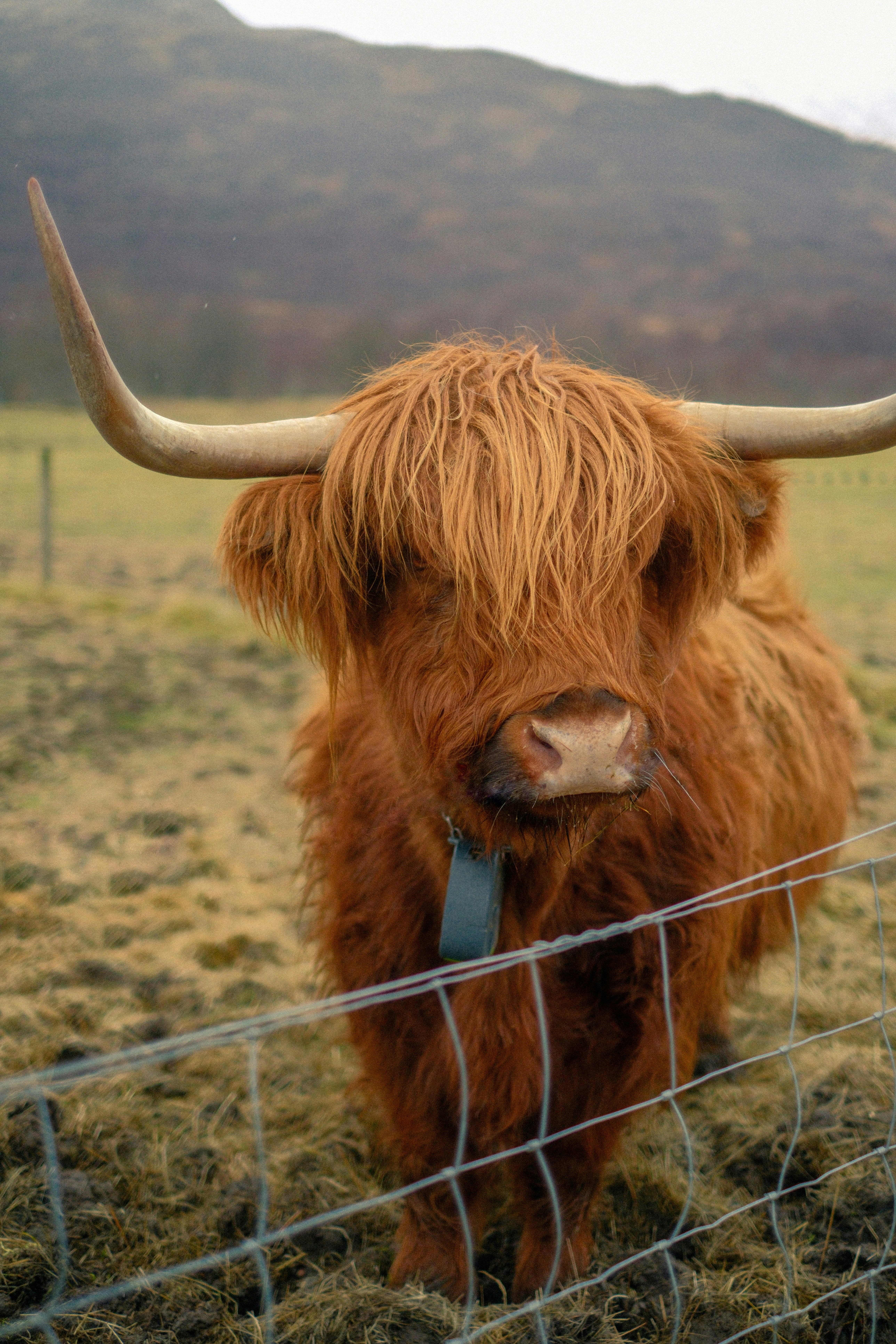 Photo by ginkgoshutter