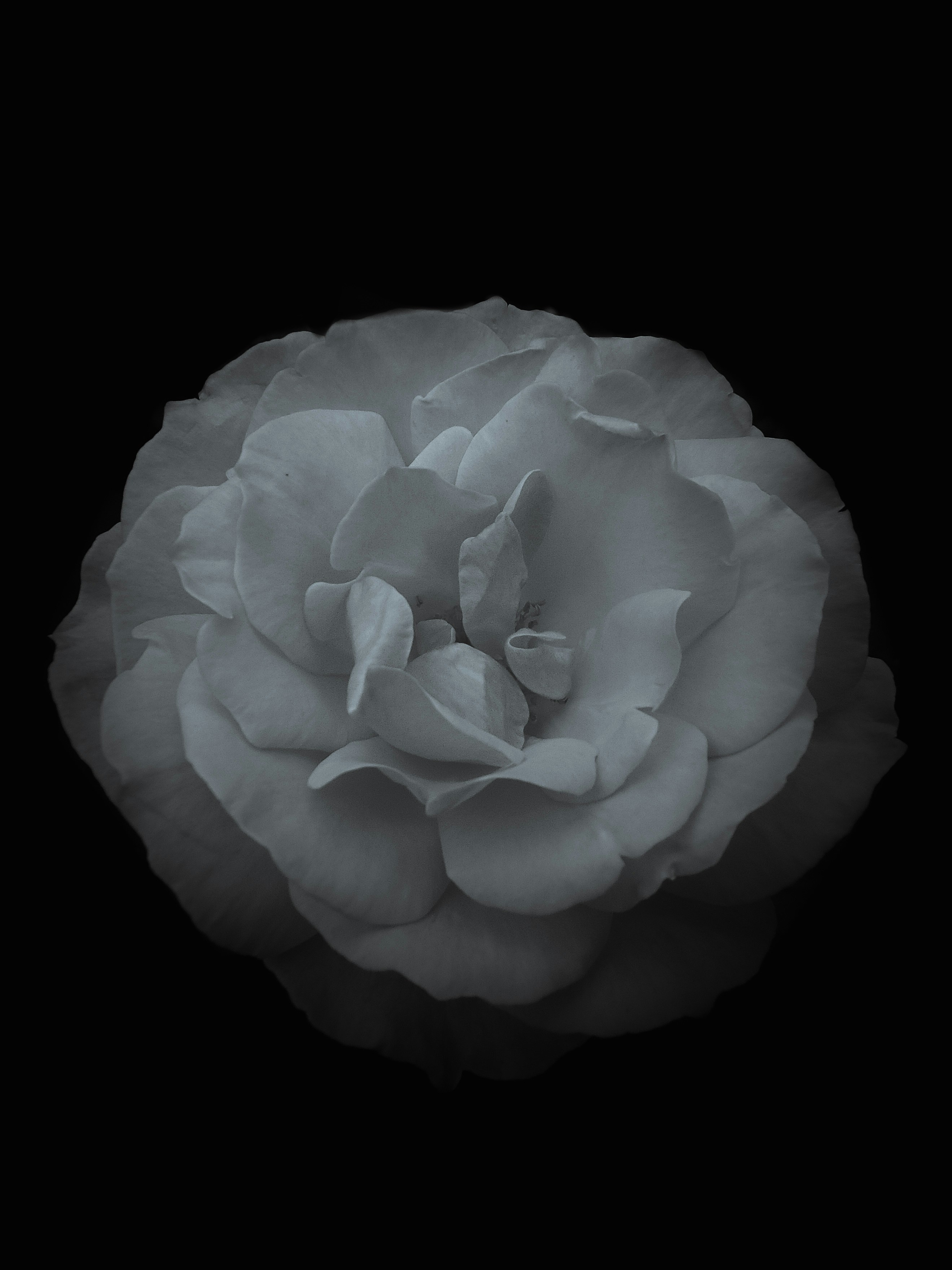 Photo by gurphotogallery