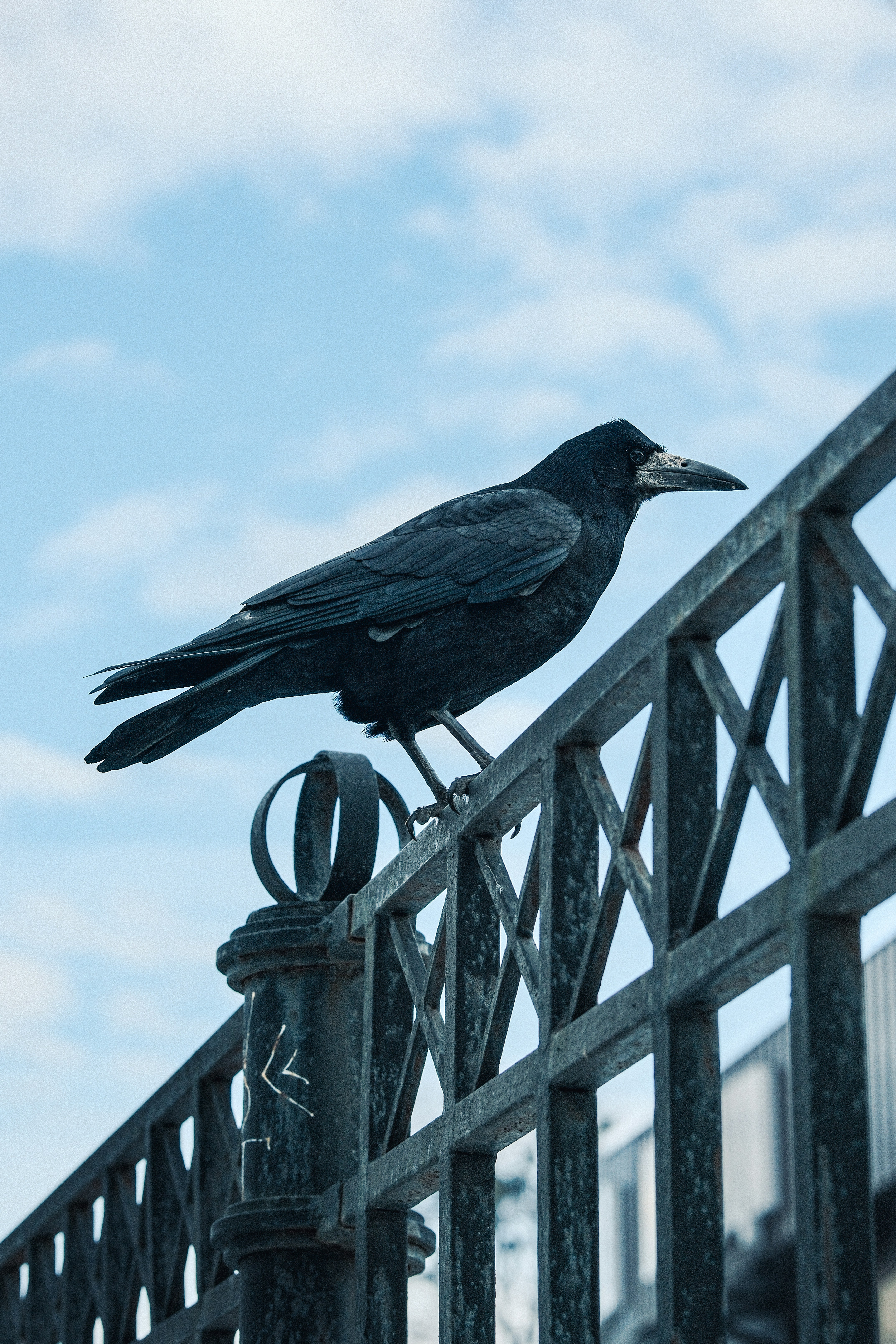 Photo by kolesnykyan