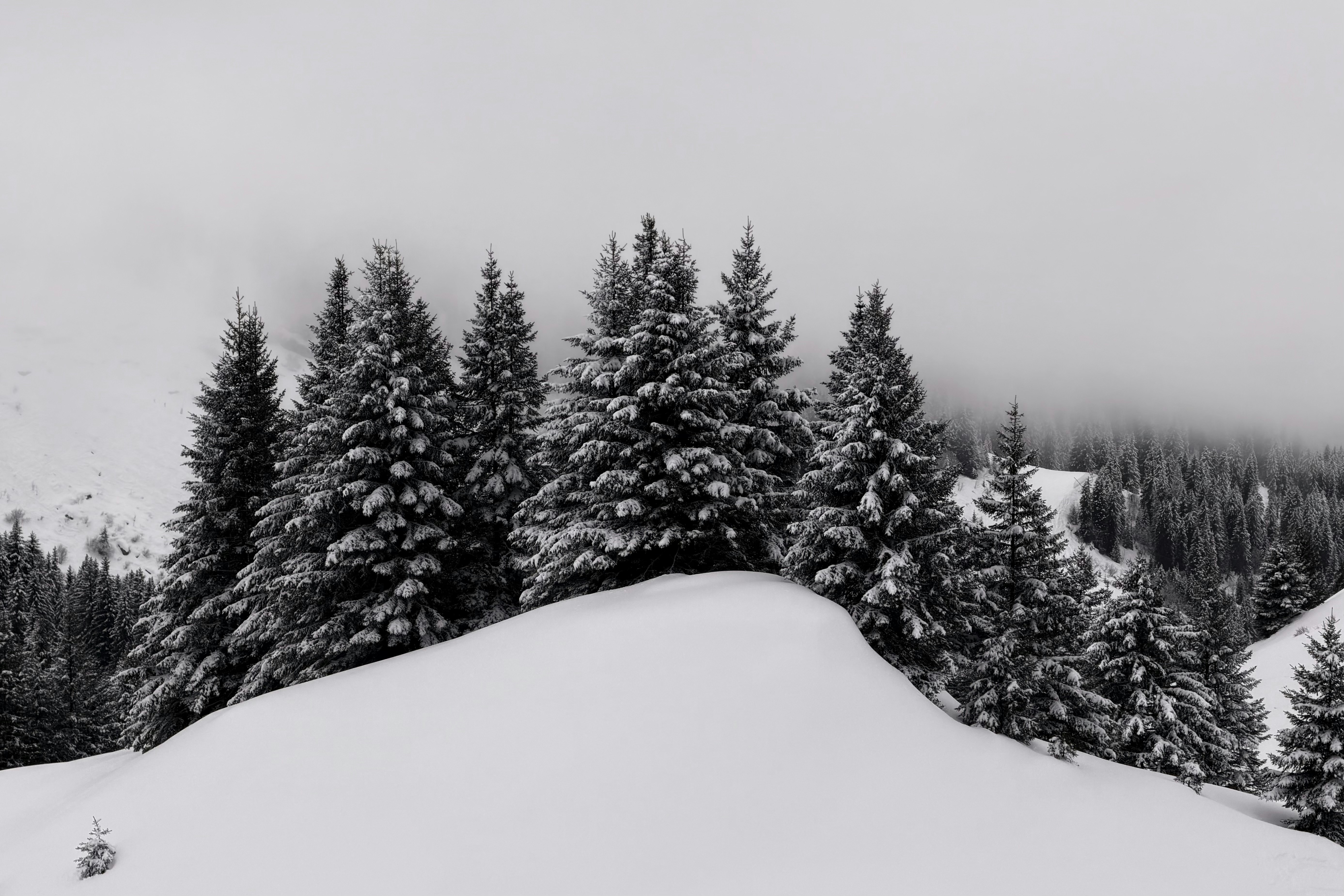 Photo by sinusfiction