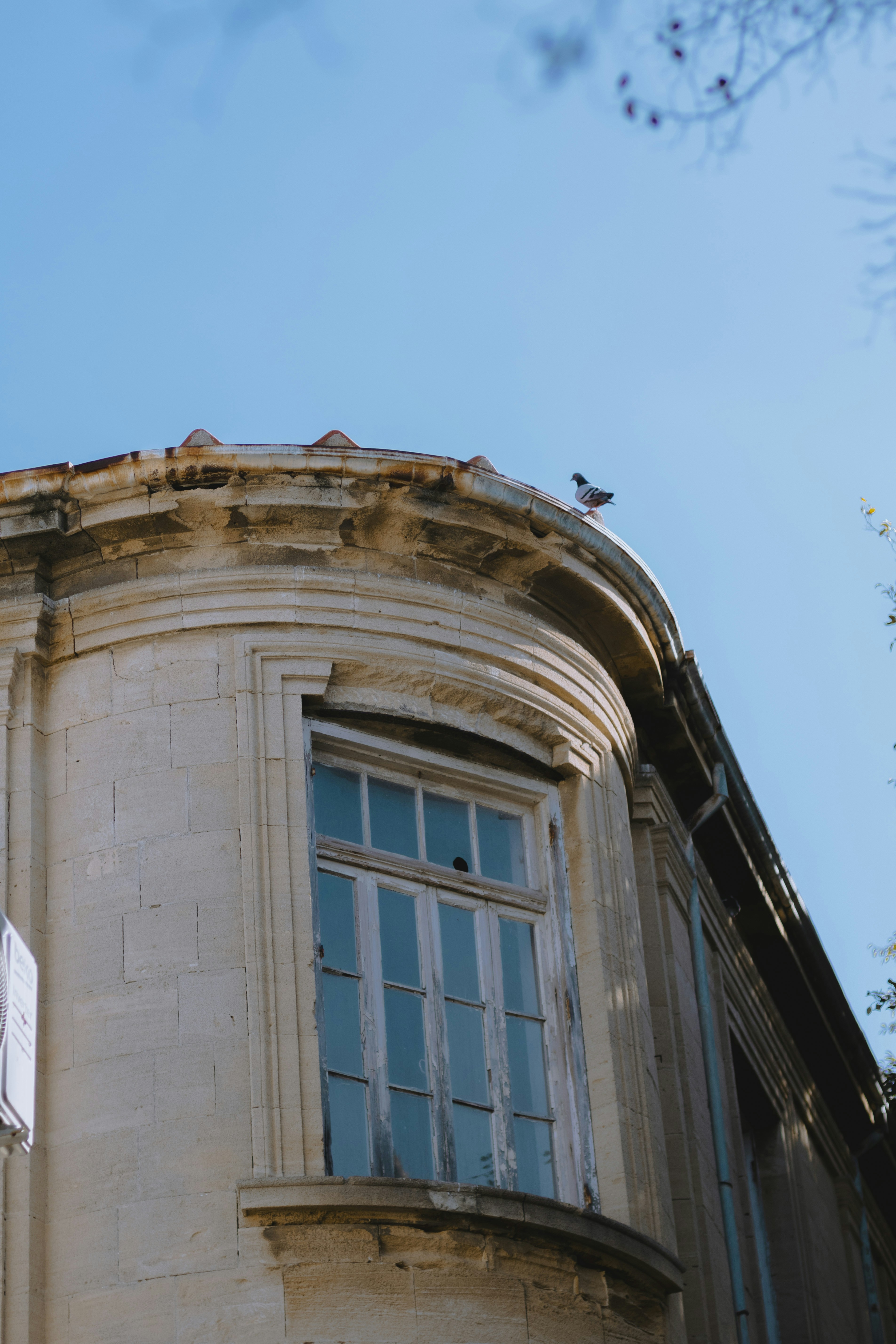 A pigeon perched on a building corner under blue sky