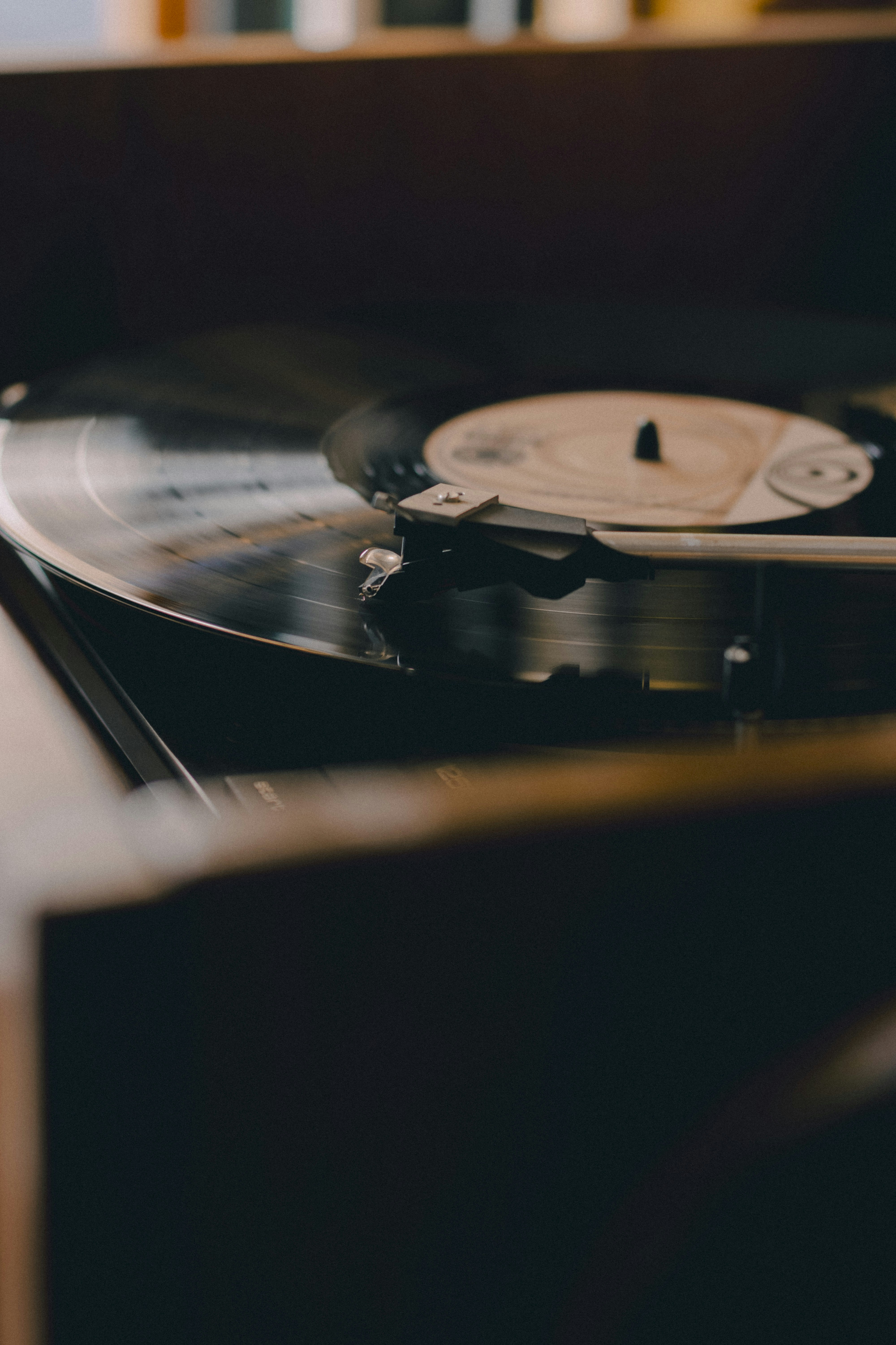 Photo by david_dintsh