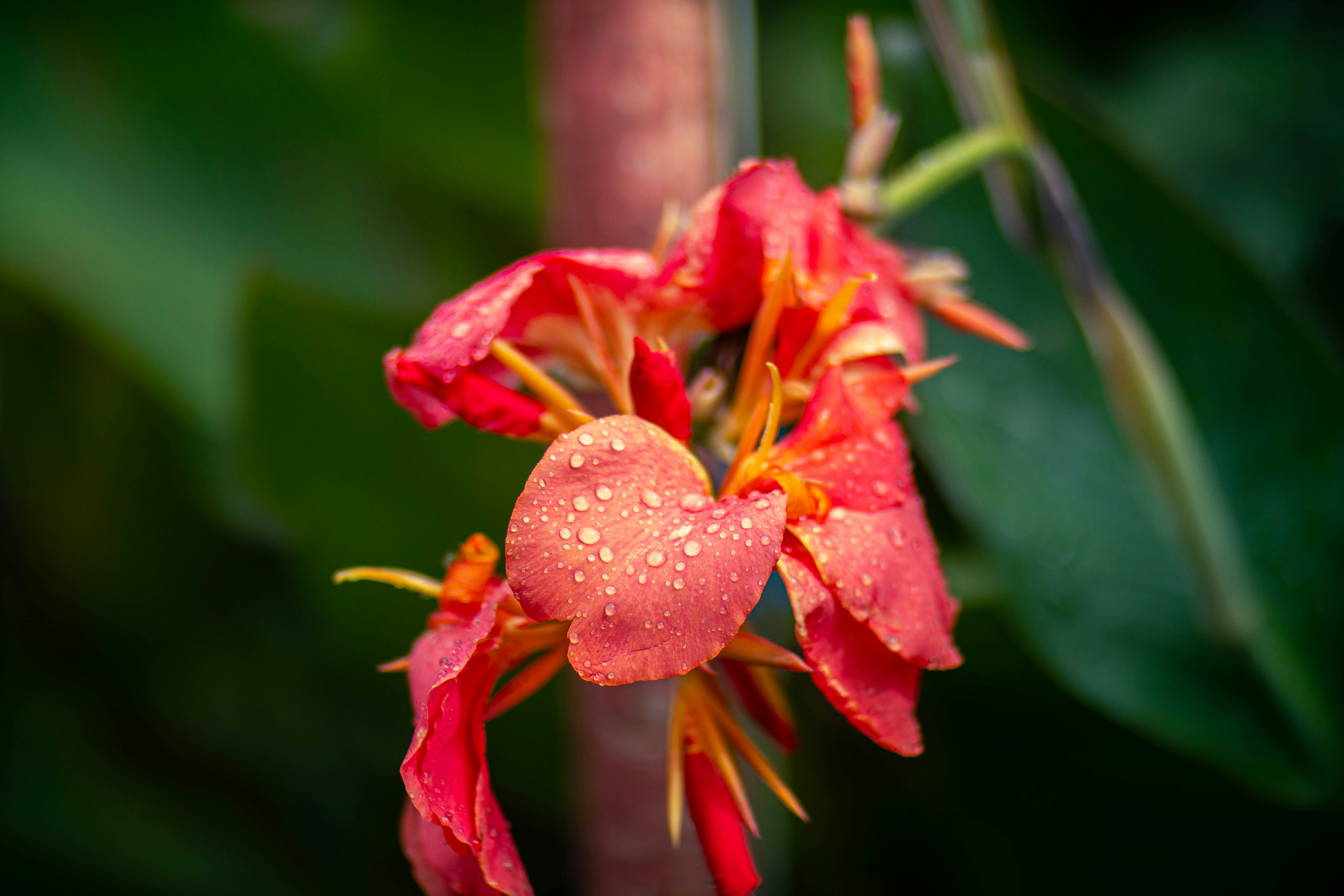 Photo by musonda_kjr