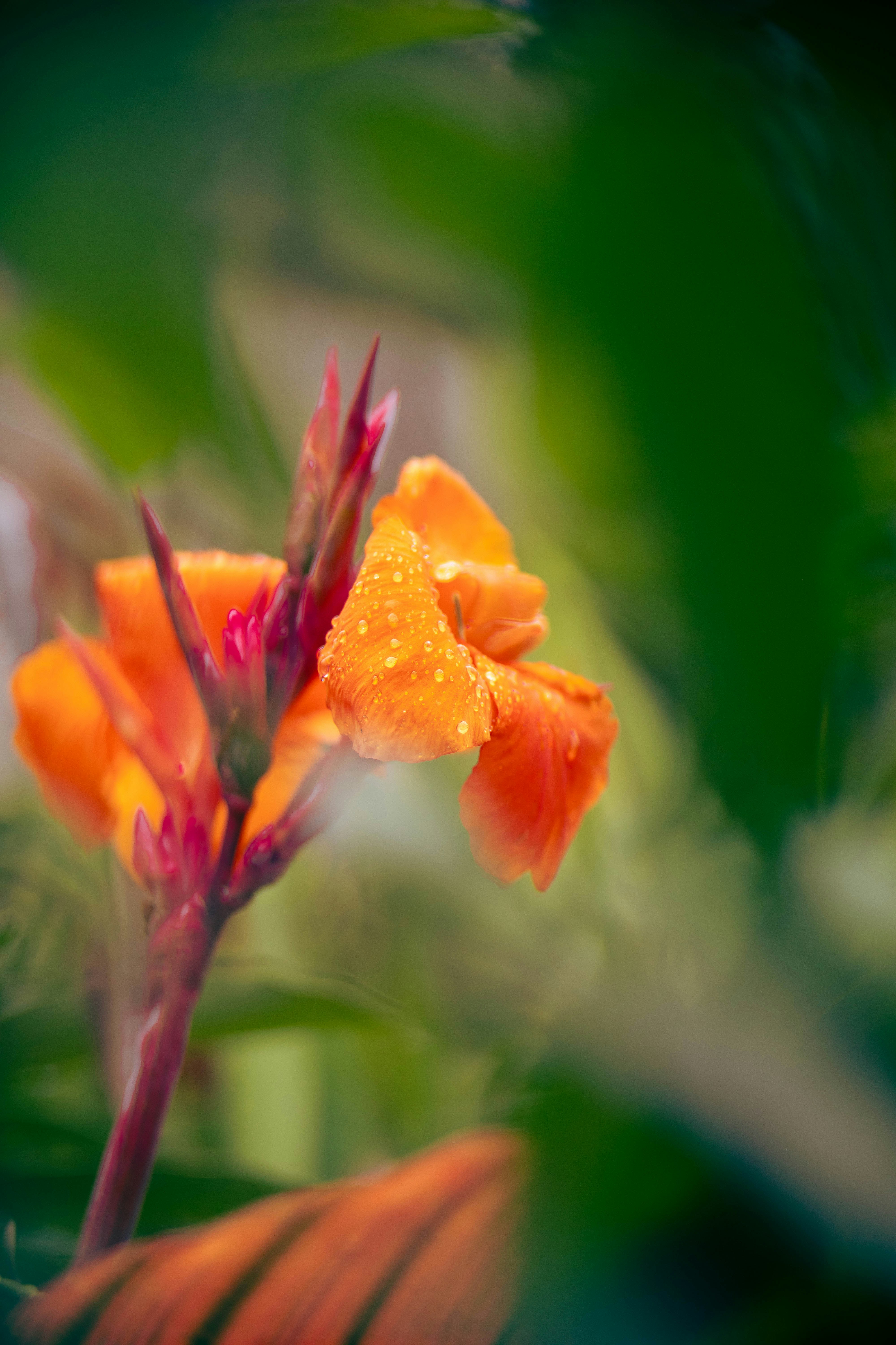 Photo by musonda_kjr