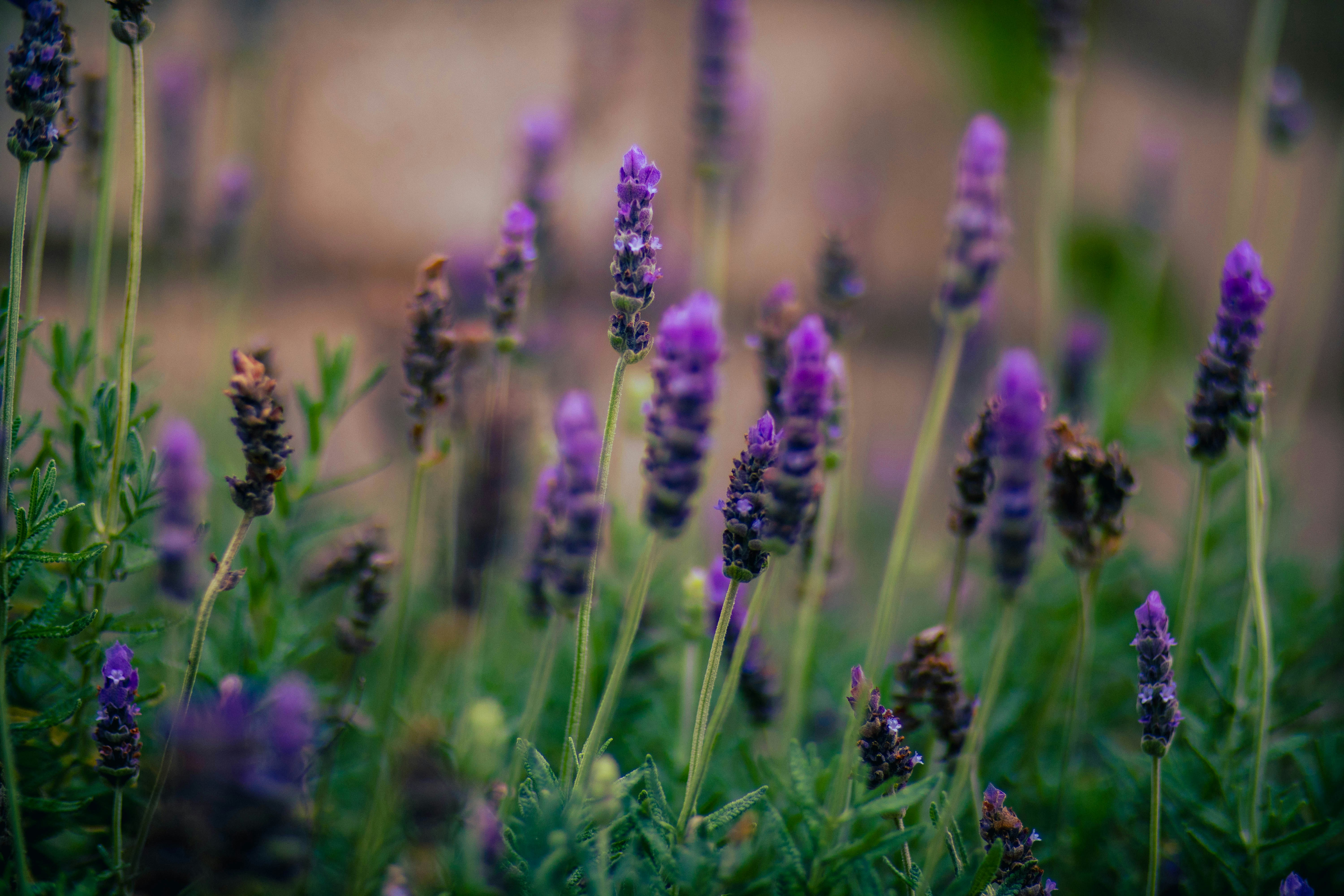 Photo by musonda_kjr