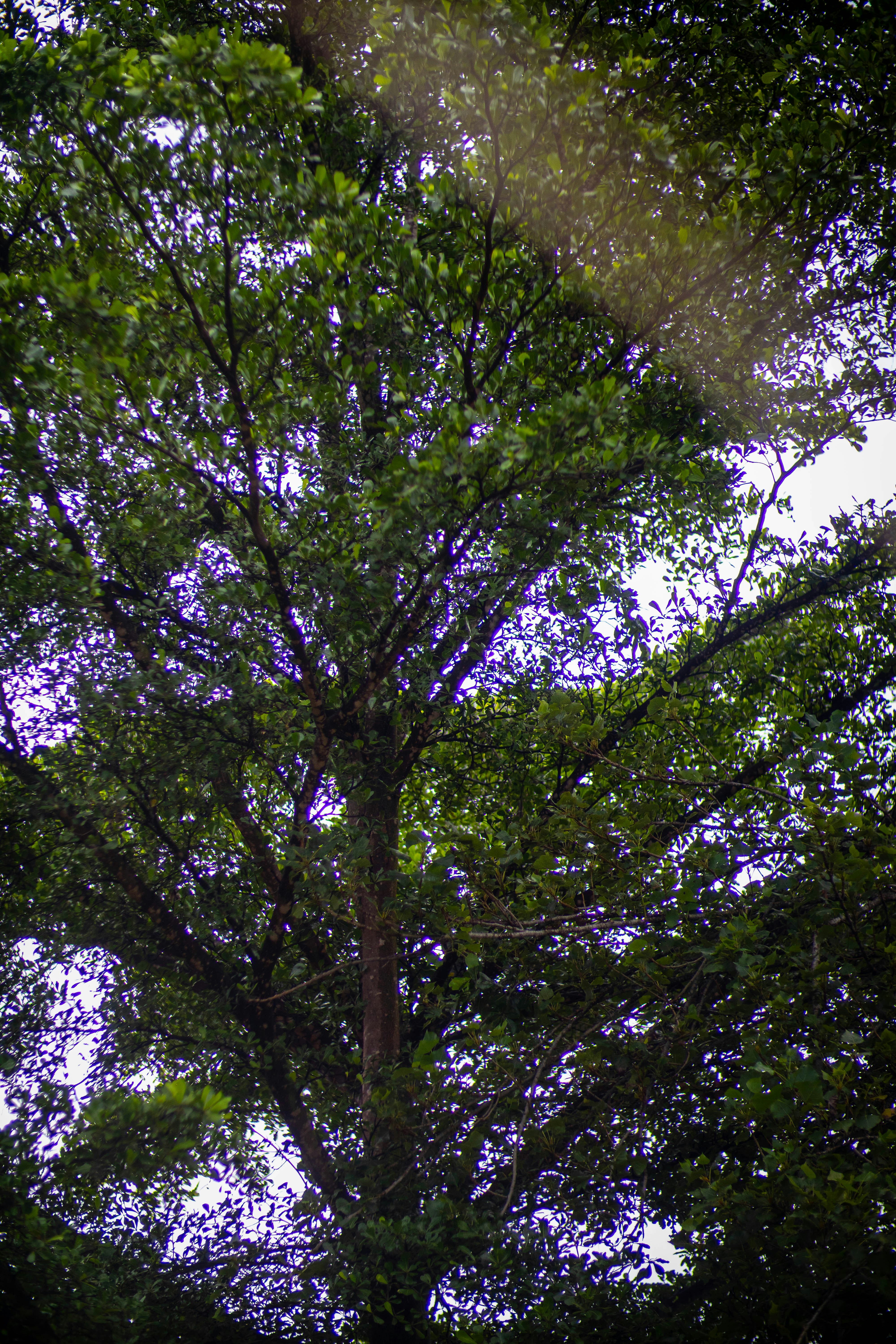 Photo by musonda_kjr