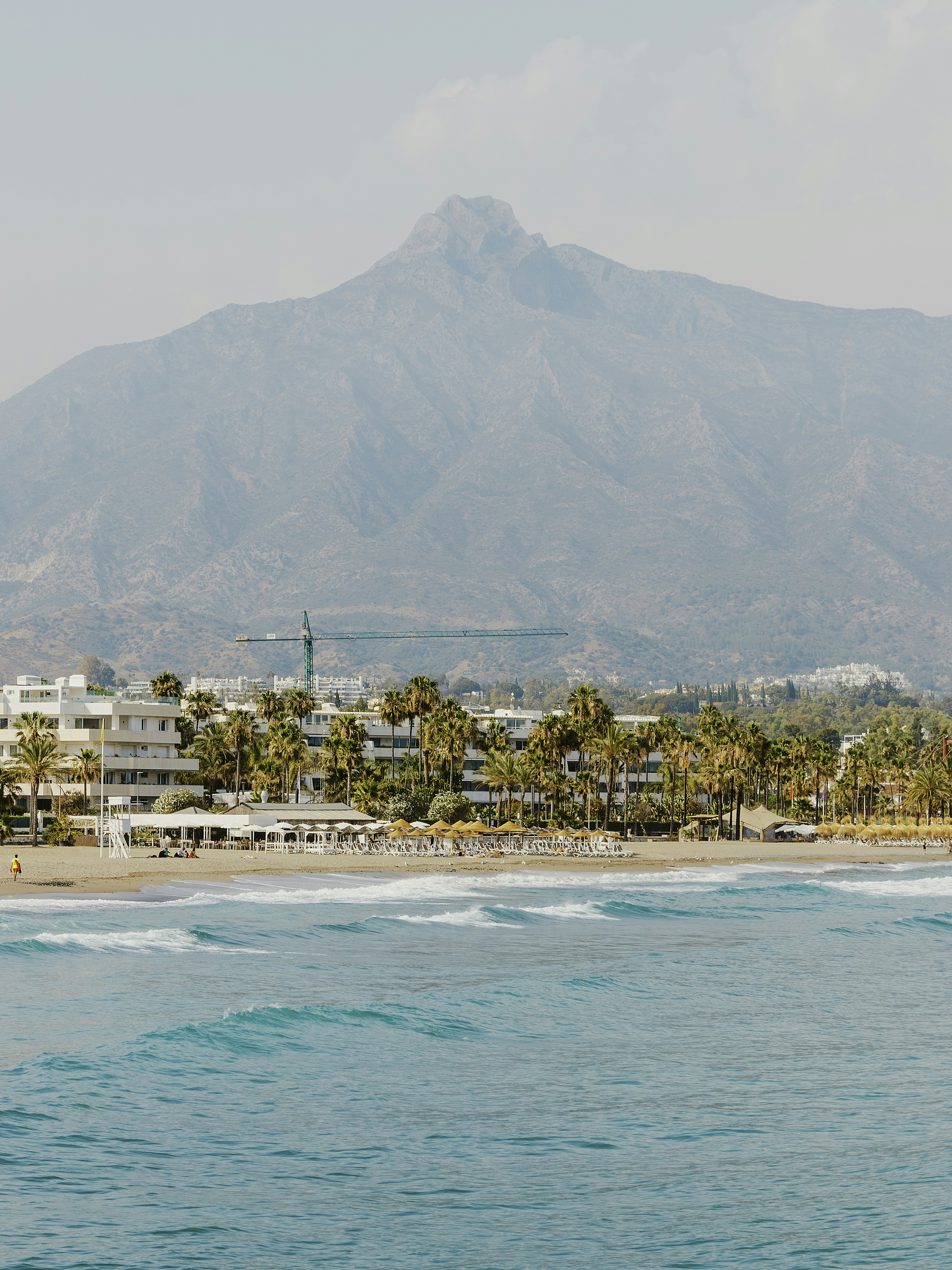 Beach resort town with palm trees and mountains