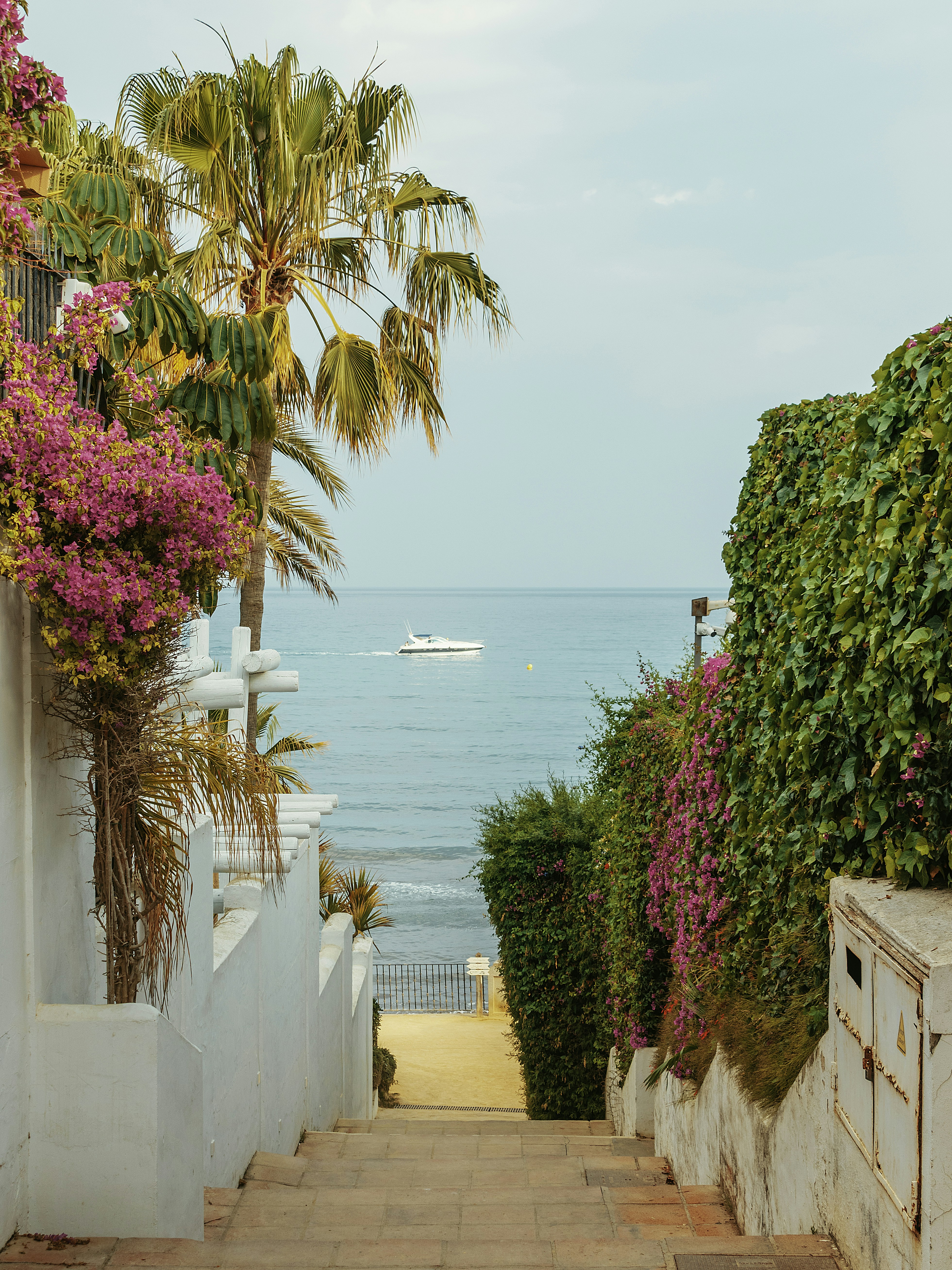 Escada para o mar com vegetação exuberante e flores.