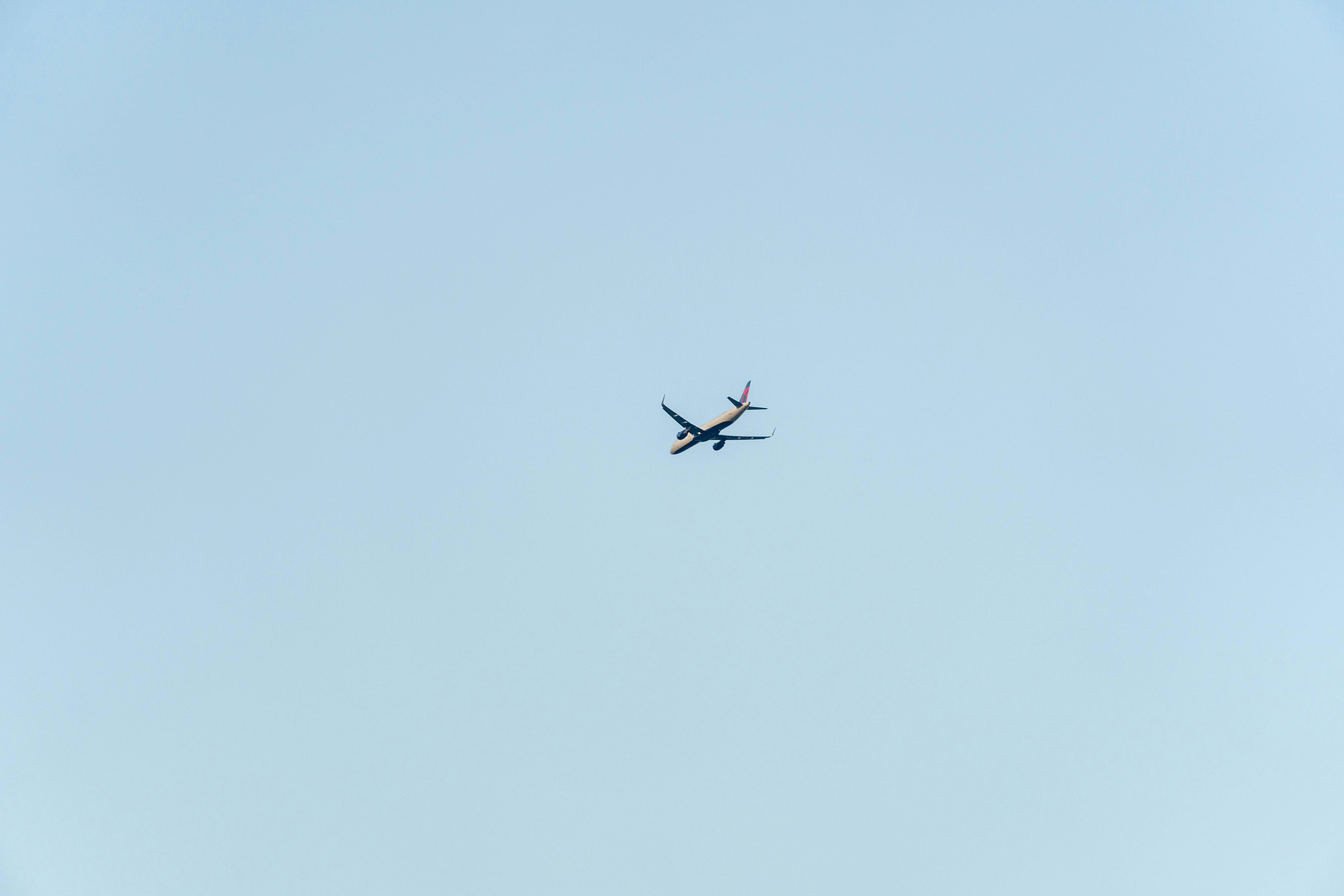 Photo by seandogjani