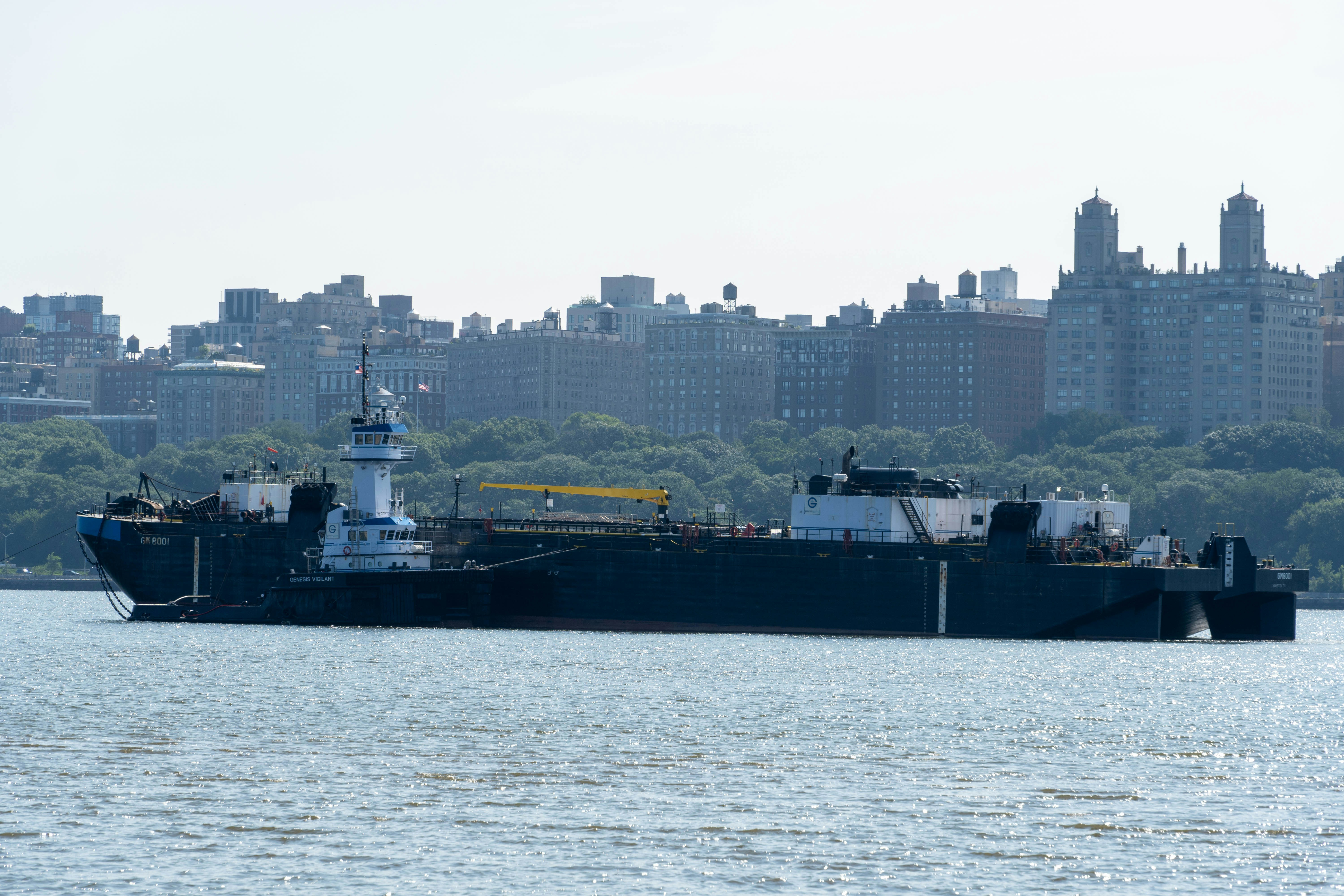 Photo by seandogjani