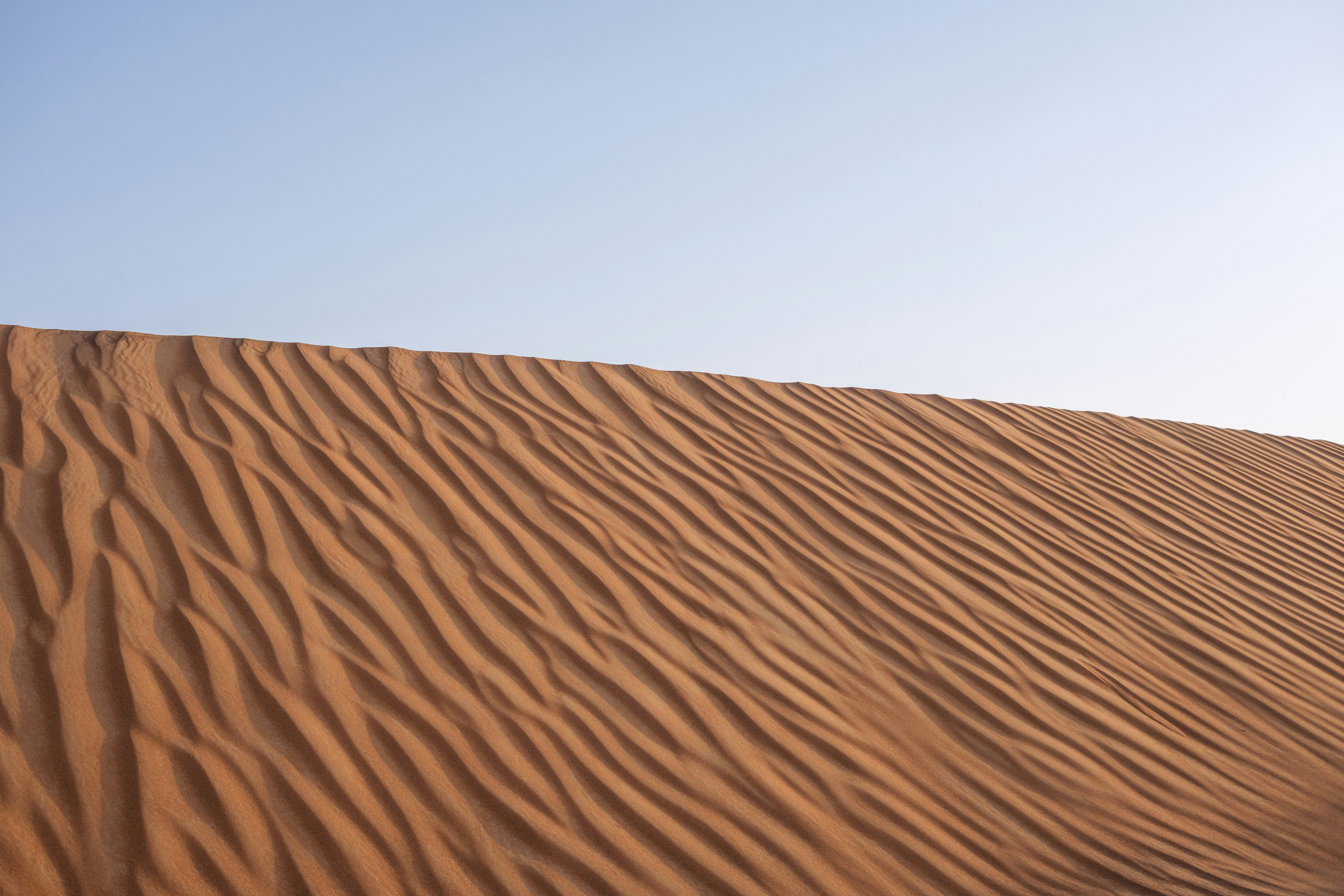 Rippled sand dunes under a clear blue sky