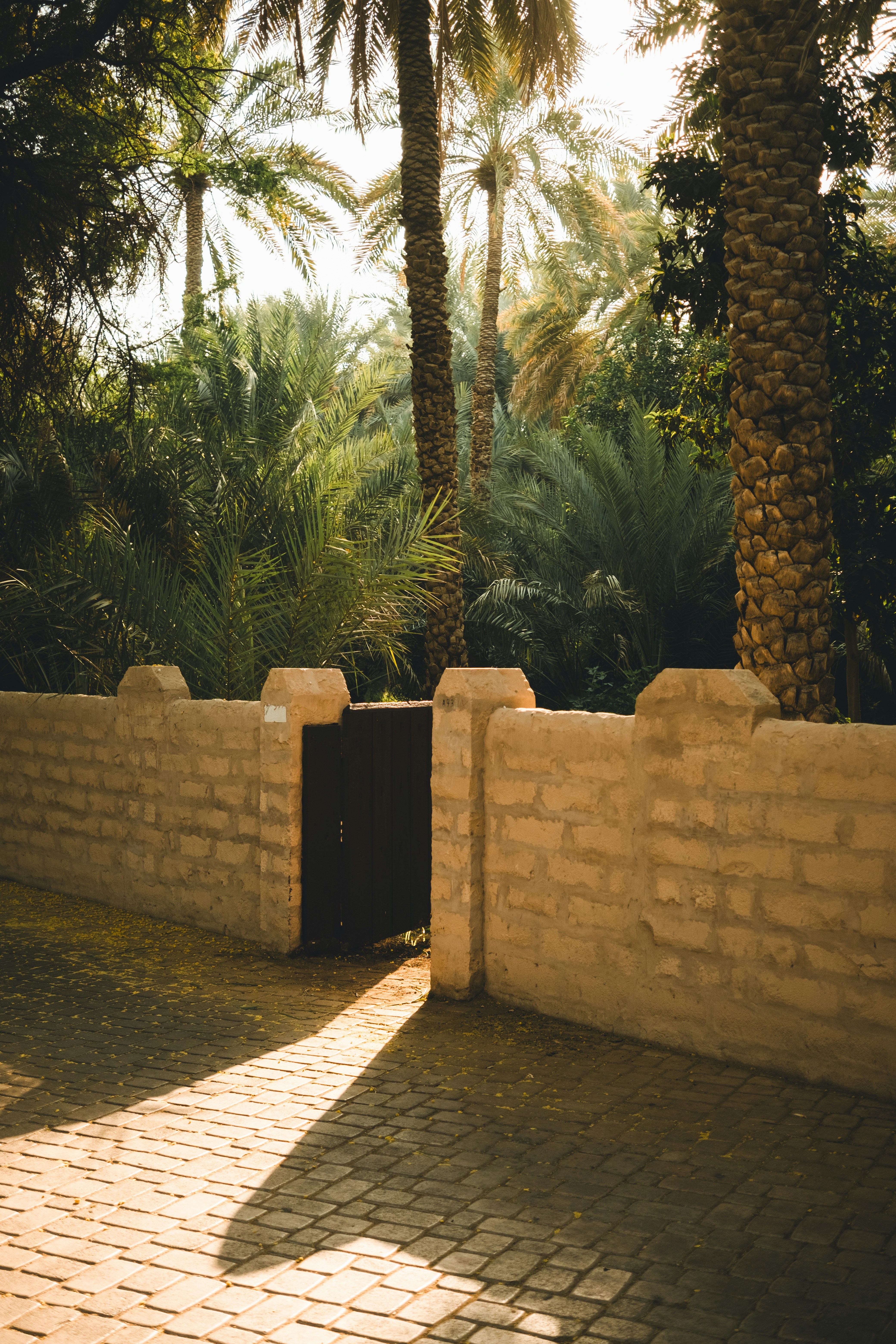 Stone wall with an open gate leading to palm trees
