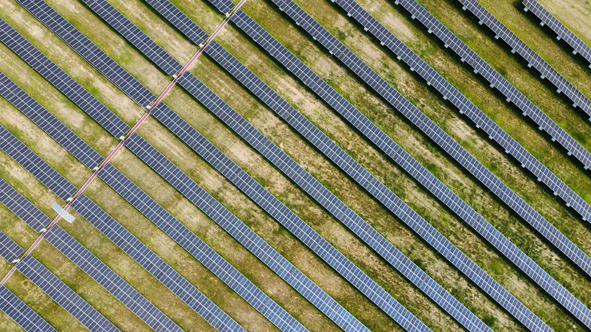 Rows of solar panels seen from above