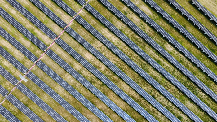 Rows of solar panels in a field from above
