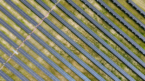 Rows of solar panels in a grassy field seen from above
