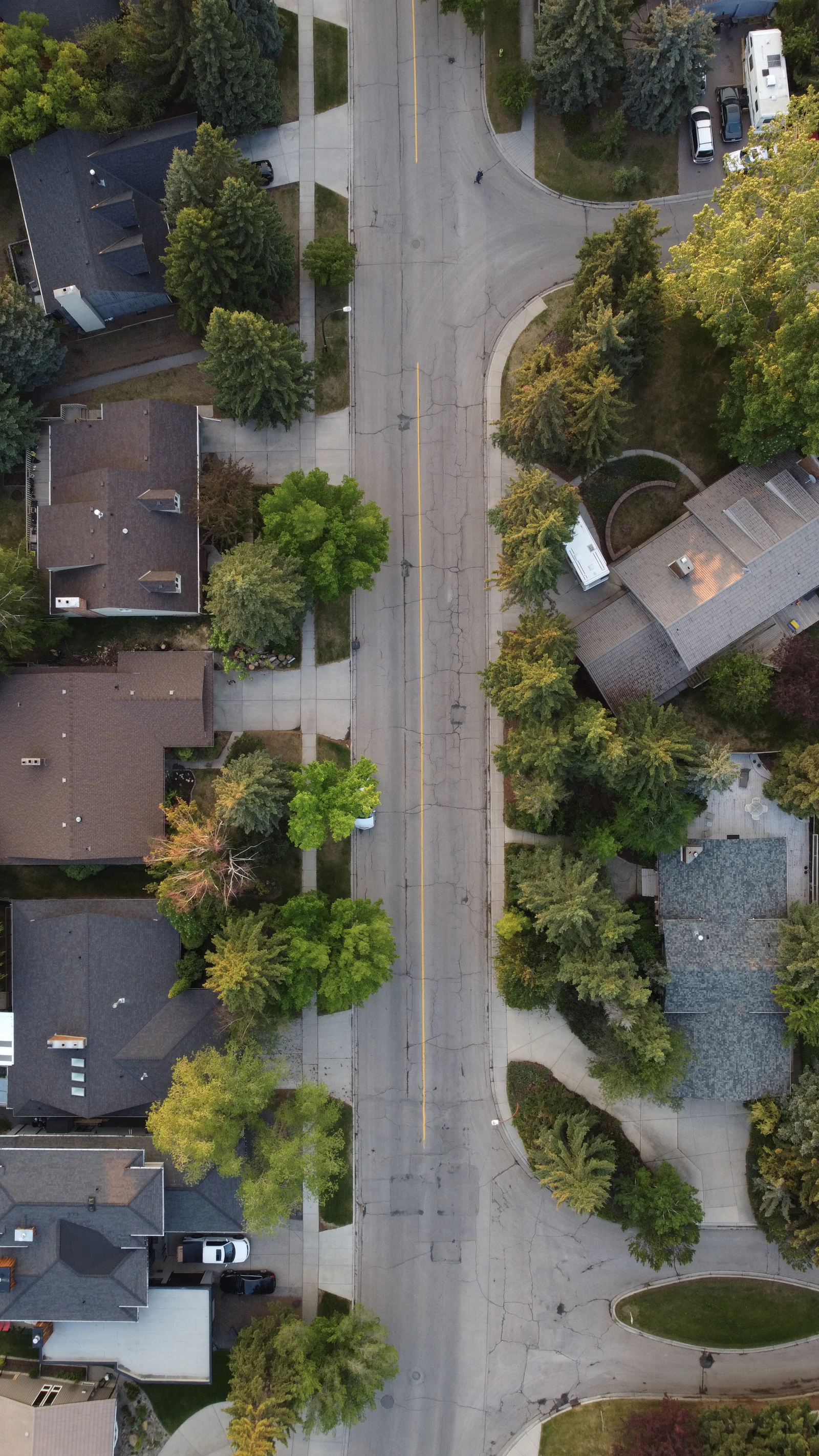 Aerial view of established Deerfield, IL neighborhood with mature trees over homes