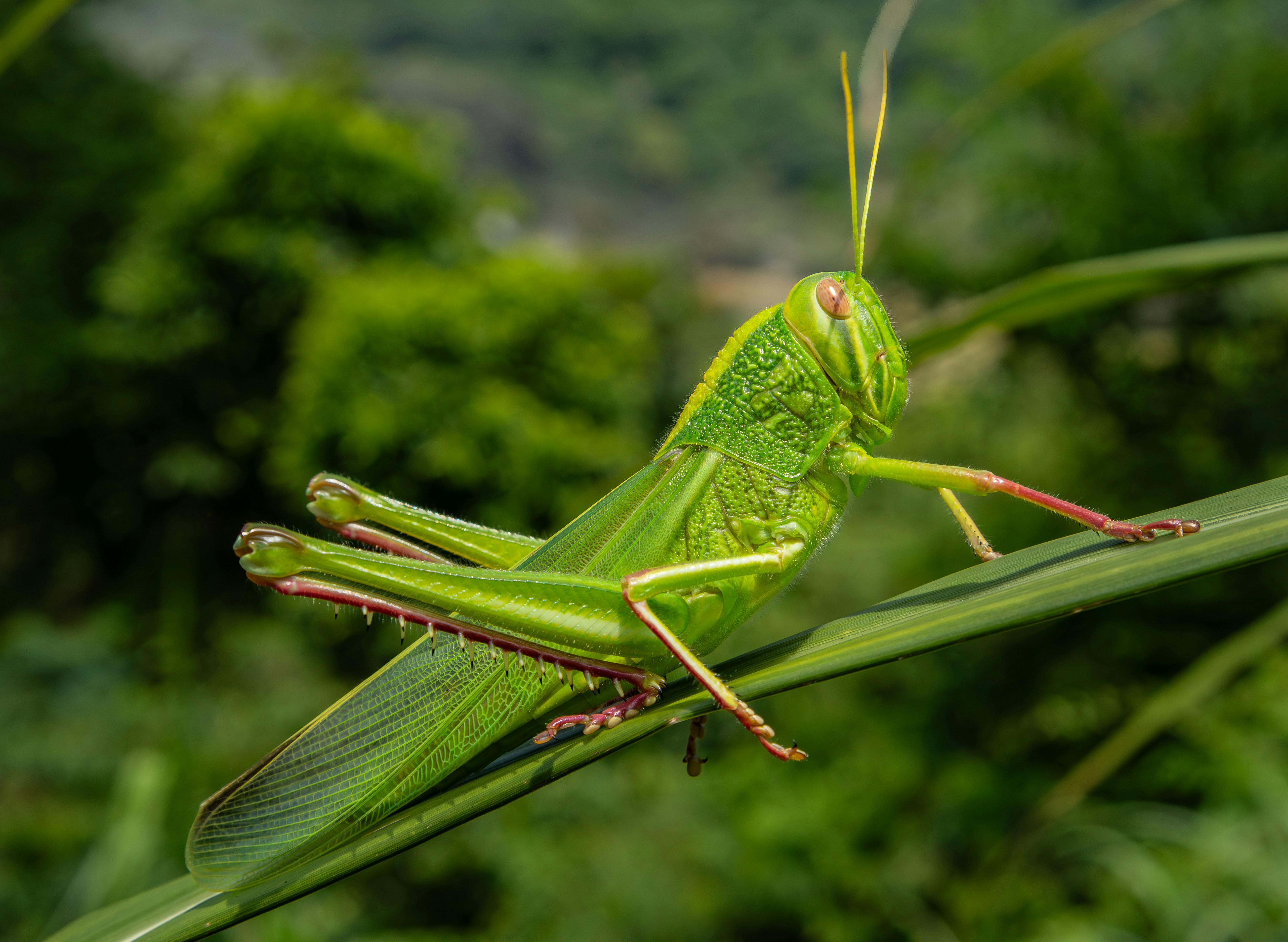 Photo by carolgauthier