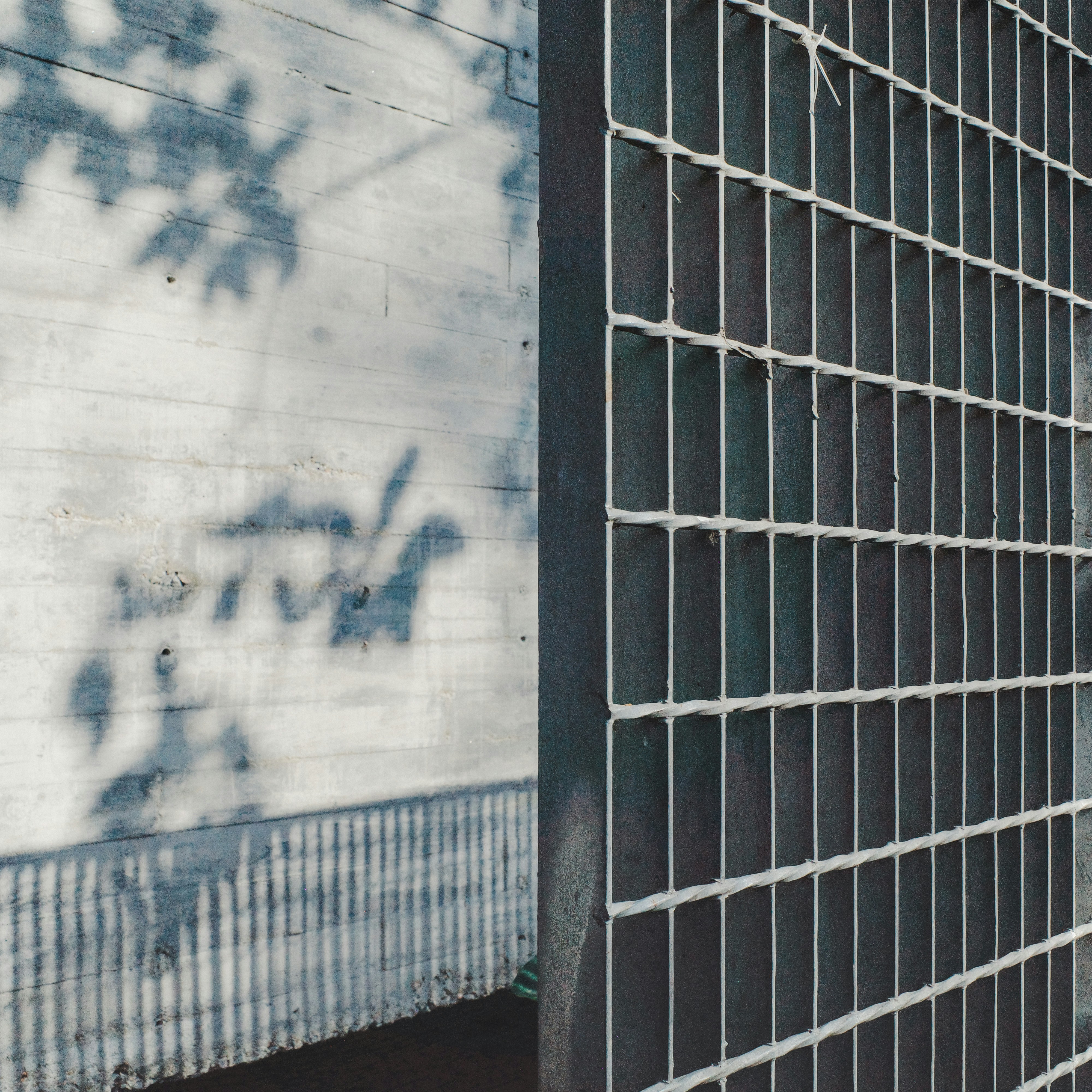 Photo by dickenslin76