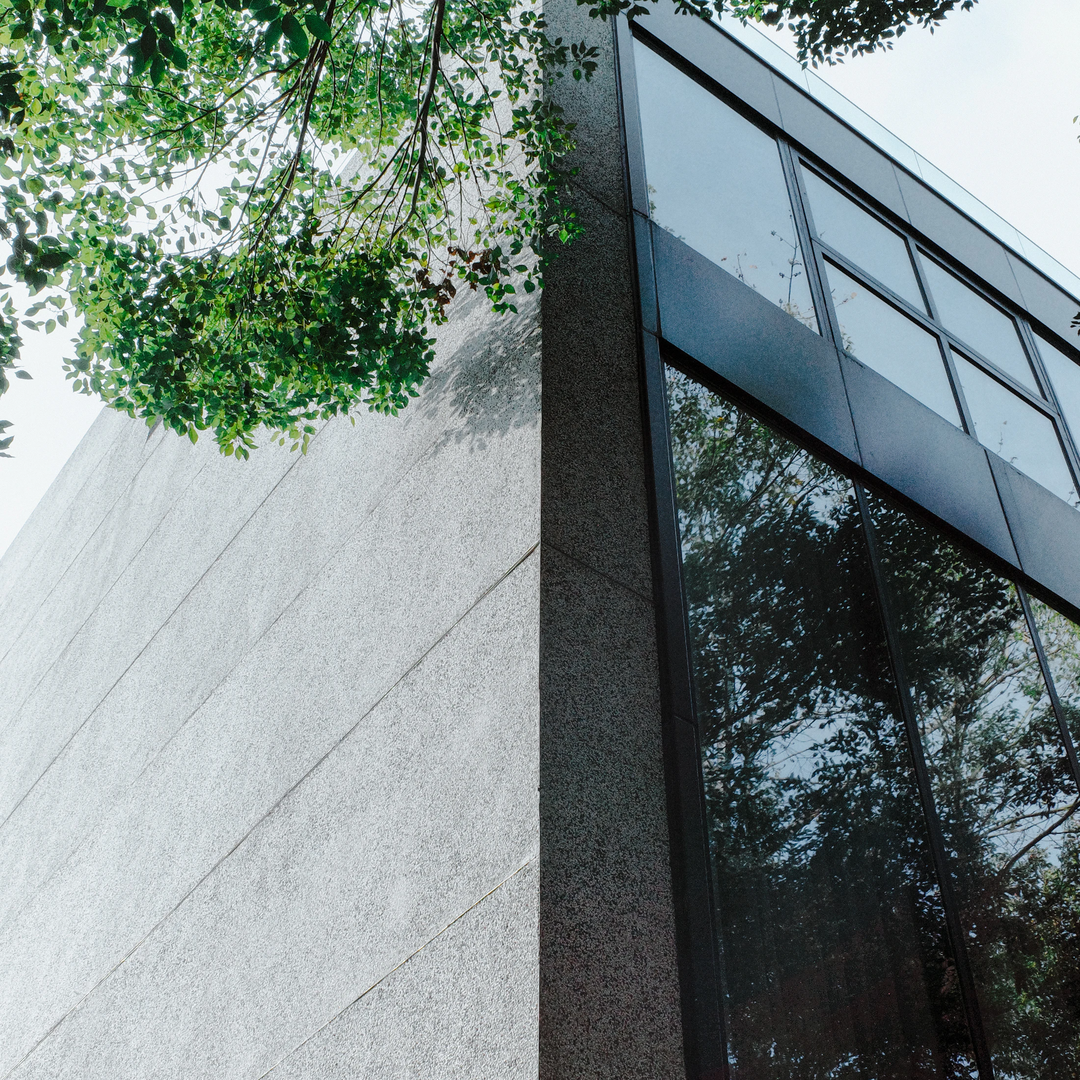 Modern beton ve cam cepheli yapı