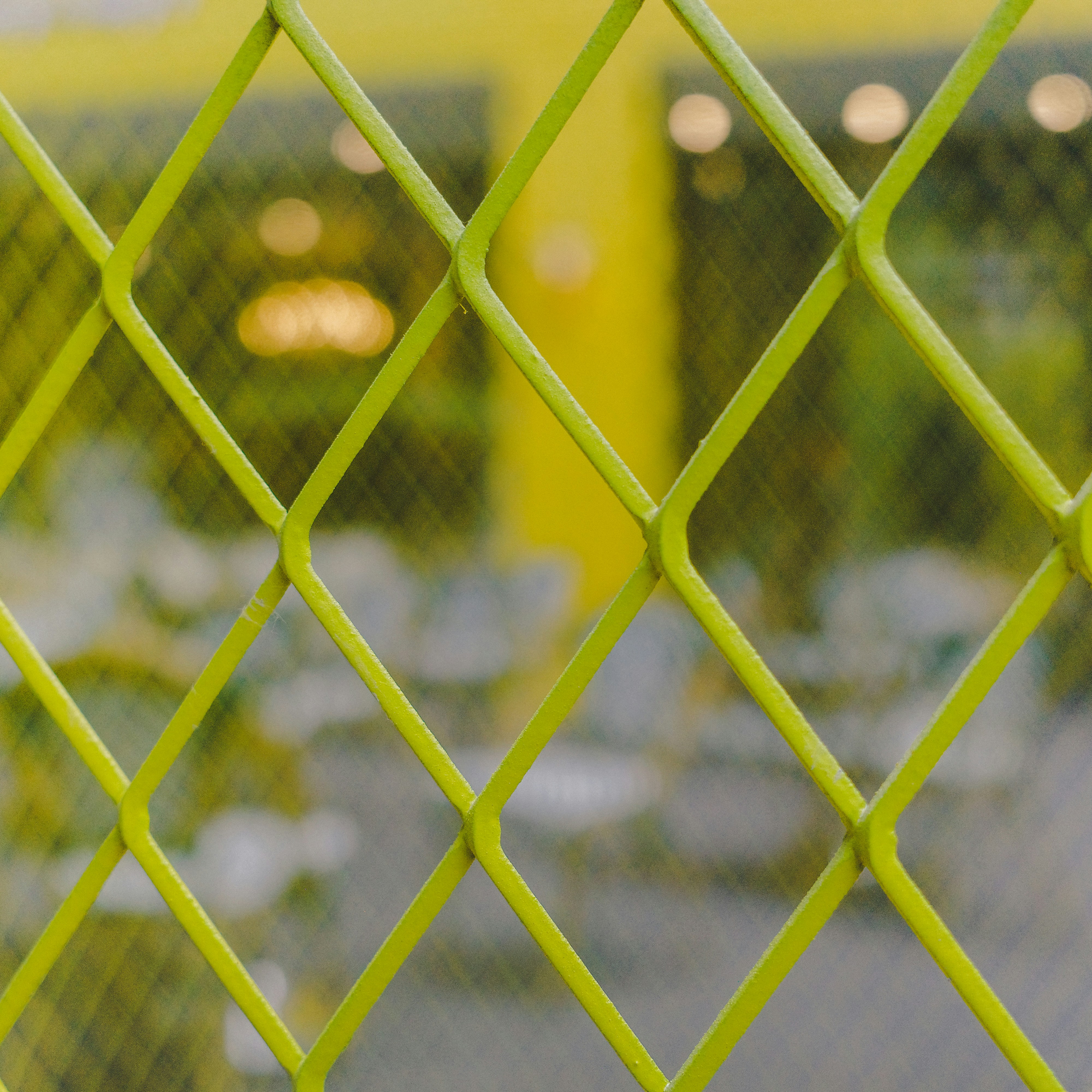 Photo by dickenslin76