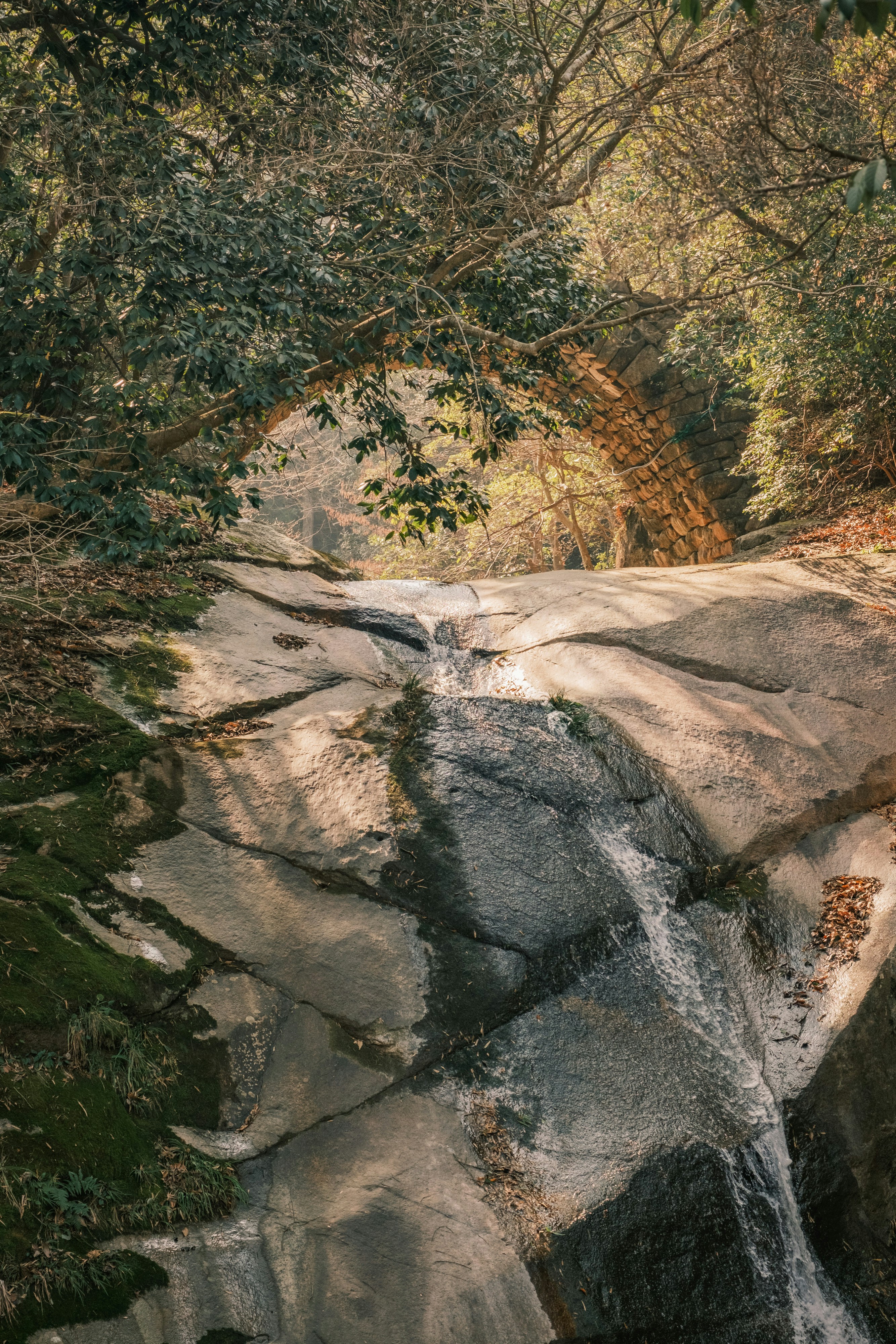 Stone bridge arching over a small waterfall in forest