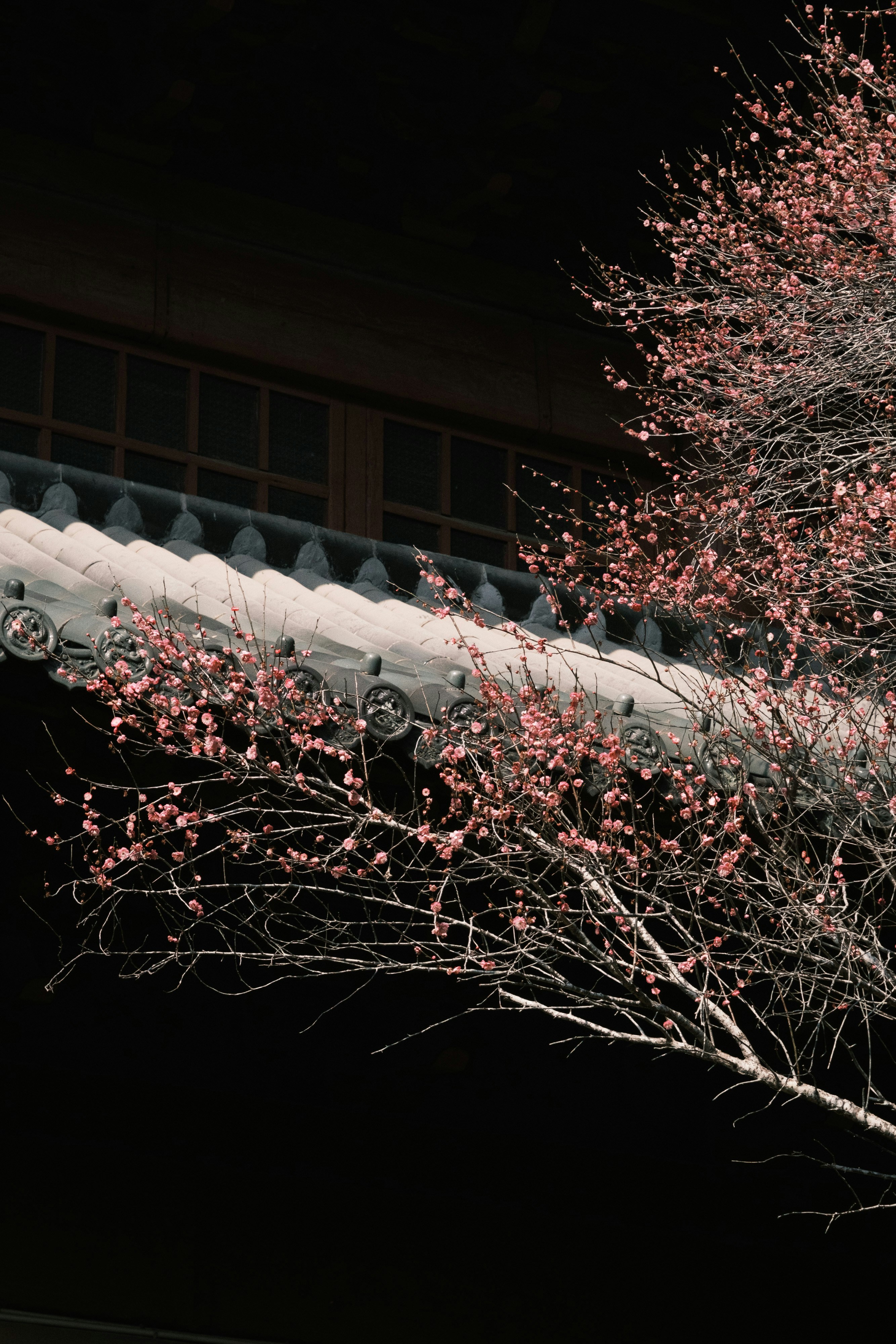 Photo by samuelwu