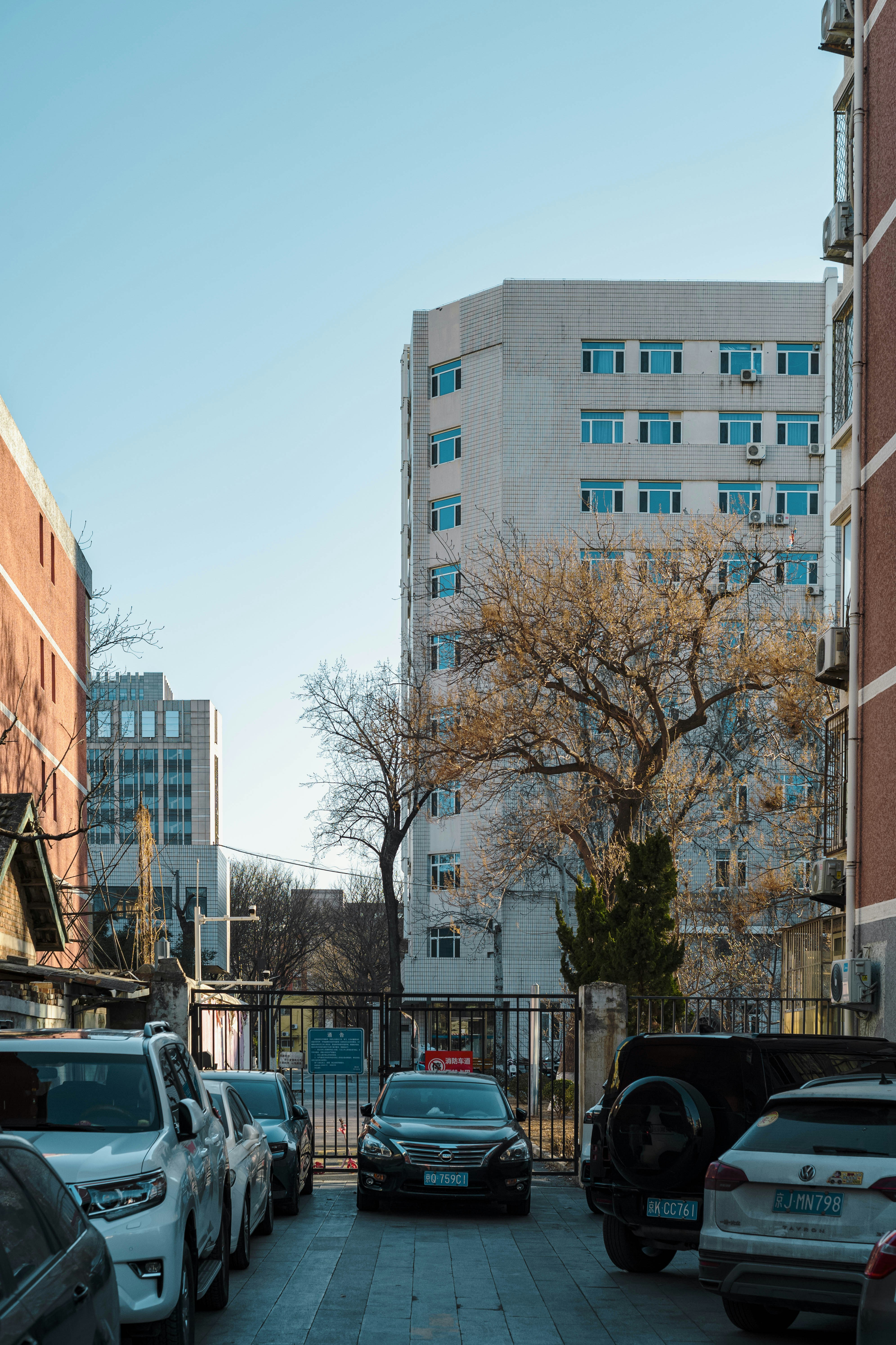 Photo by tommaomaoer