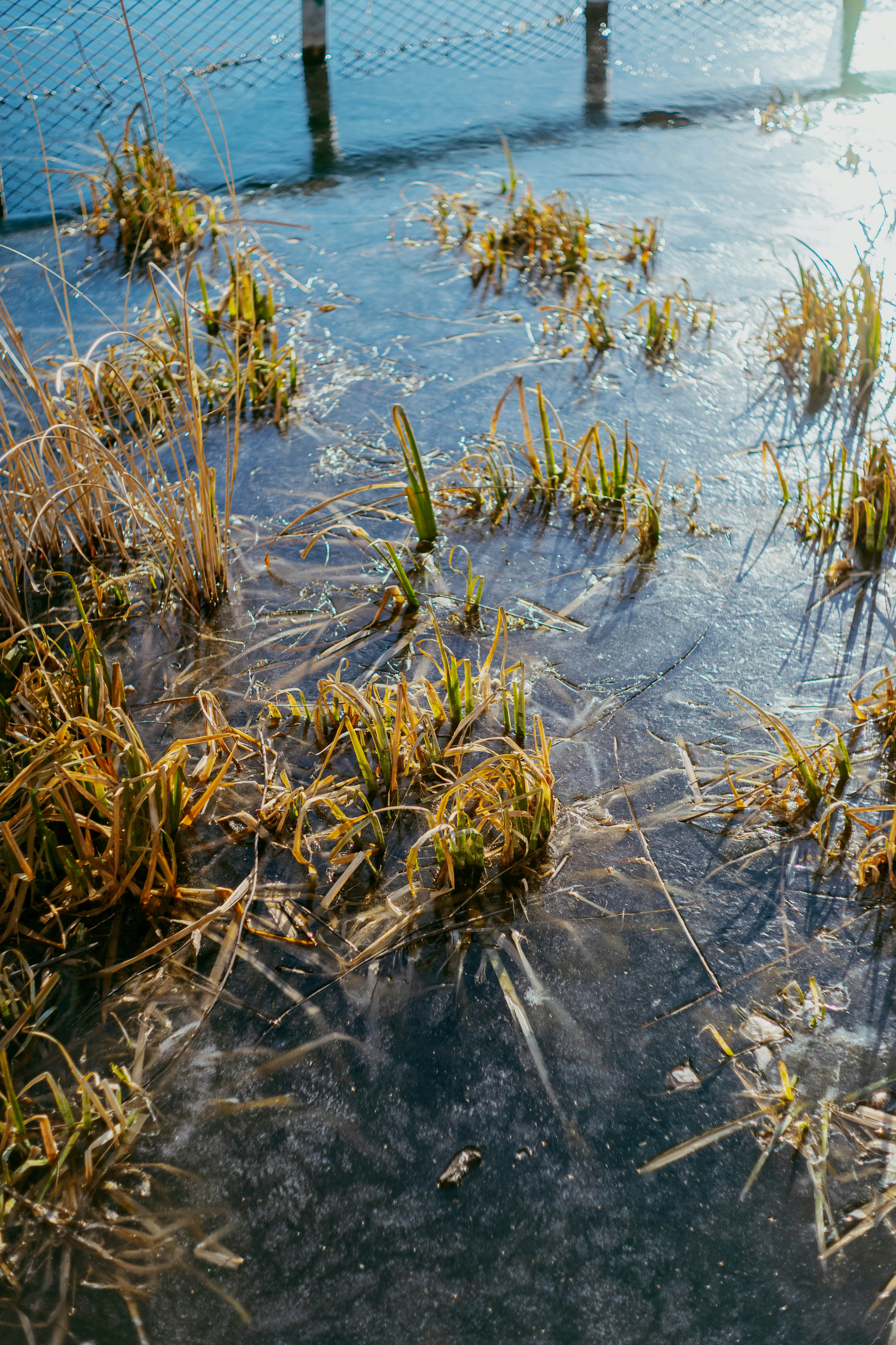 Photo by tommaomaoer