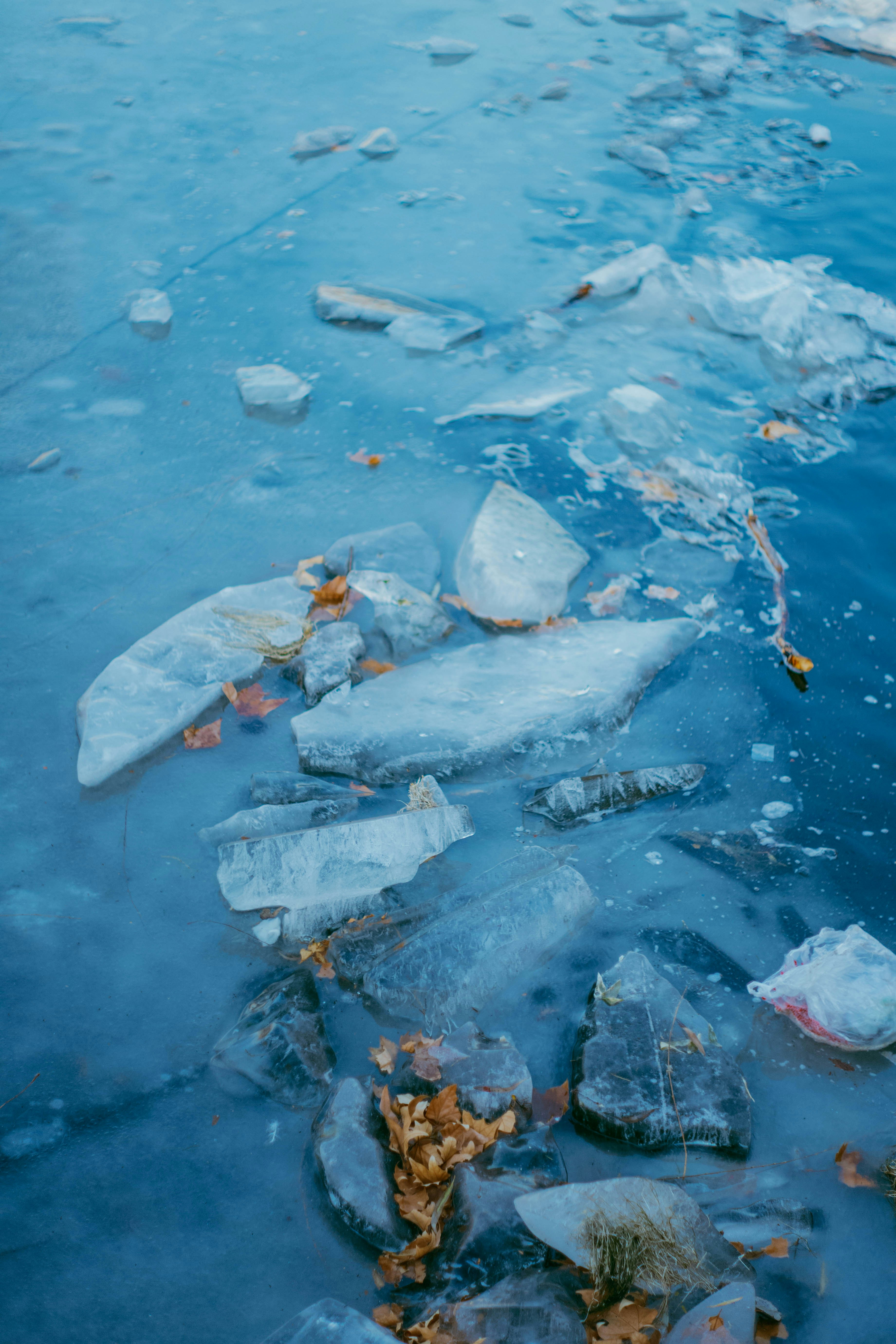 Photo by tommaomaoer