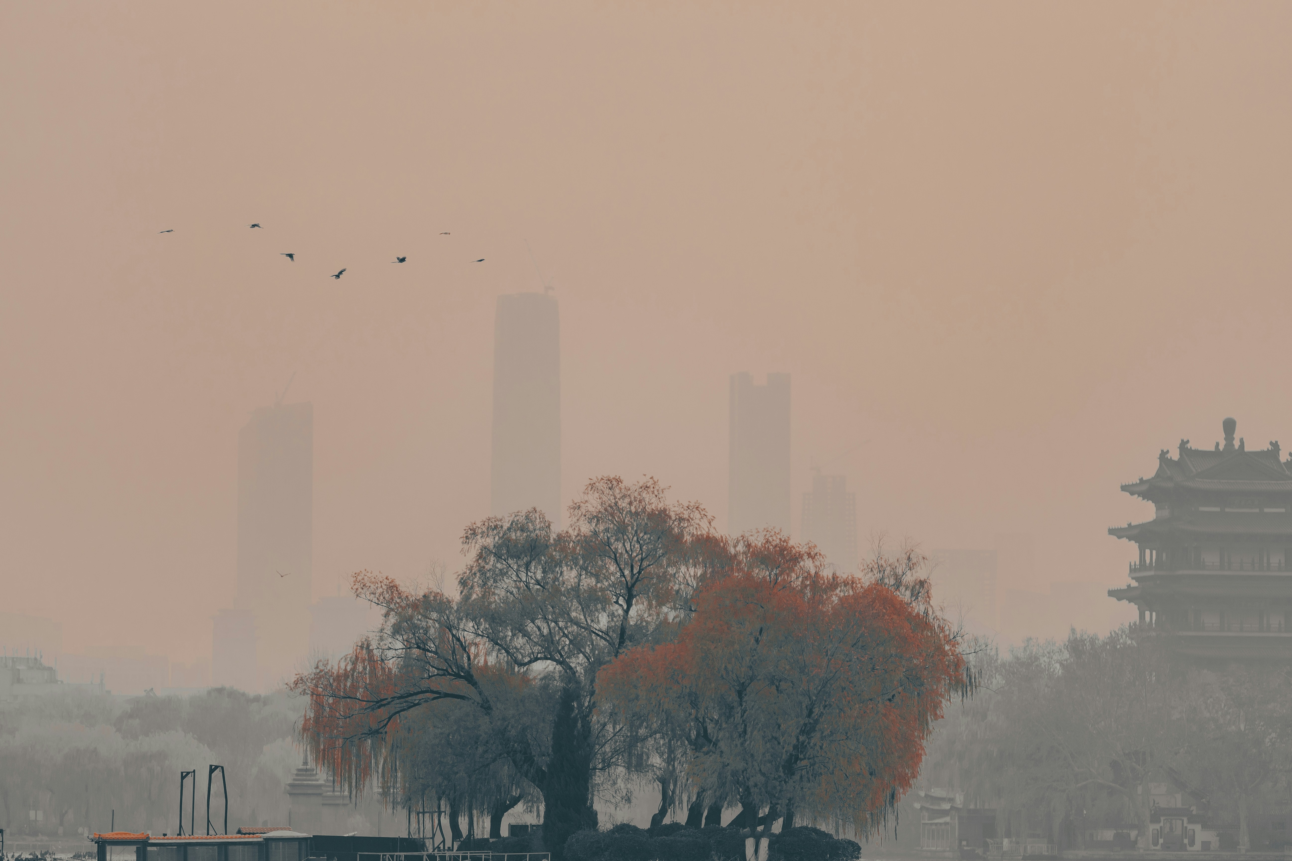 木々と伝統的なパゴダのある霧に包まれた街並み