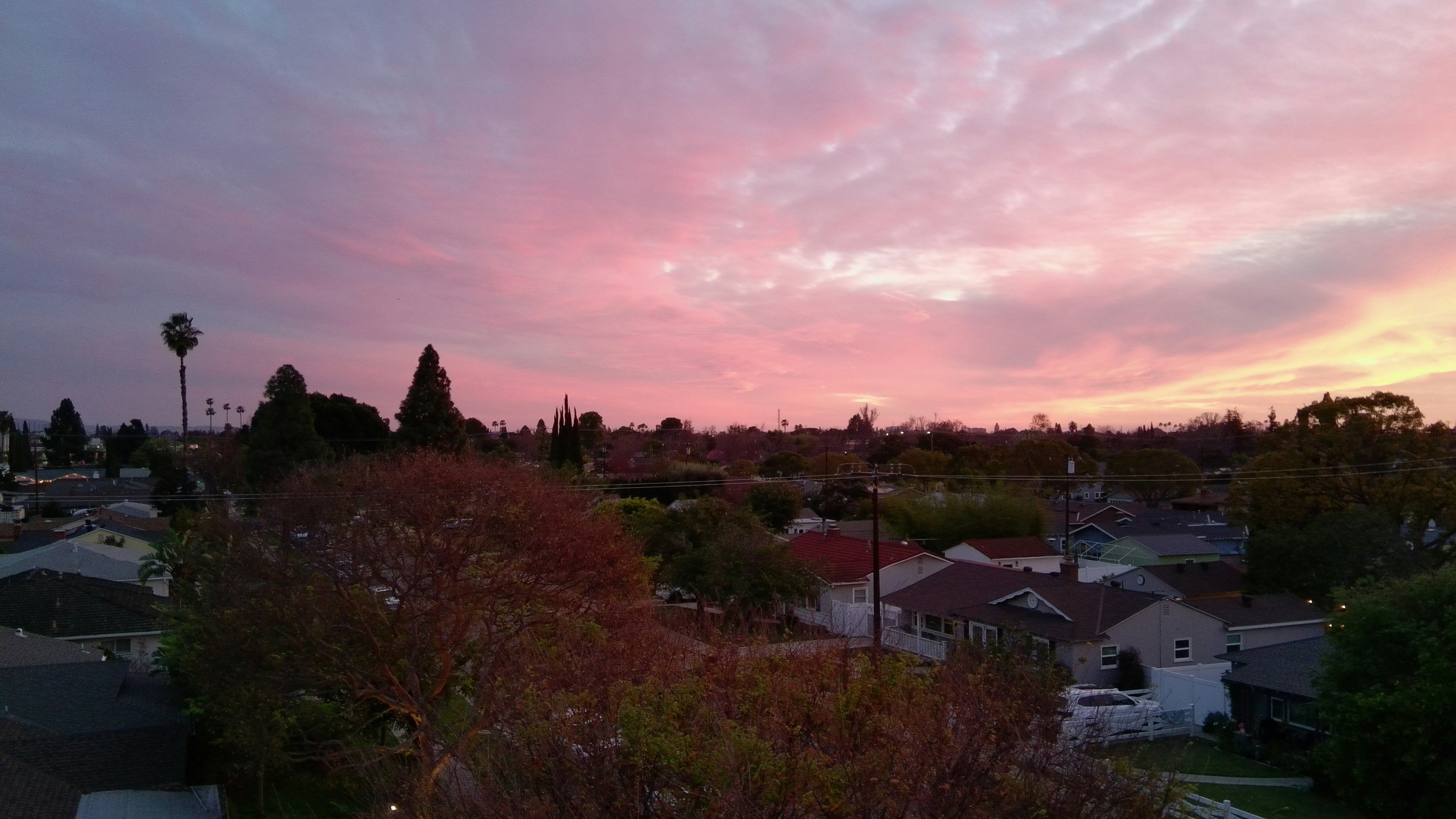 Pink and orange sunset over suburban rooftops.