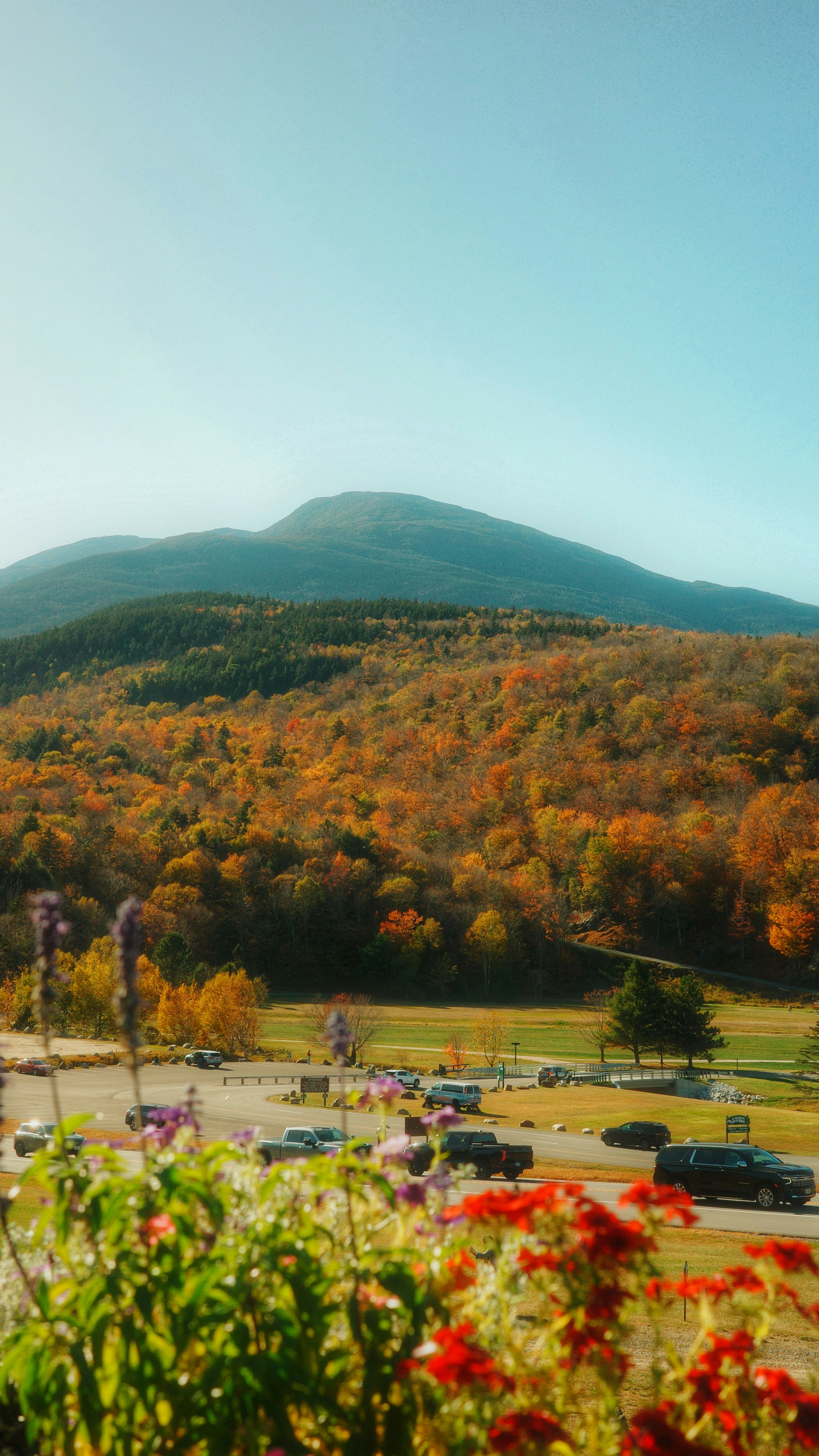 Autumn mountain landscape with colorful trees and flowers.
