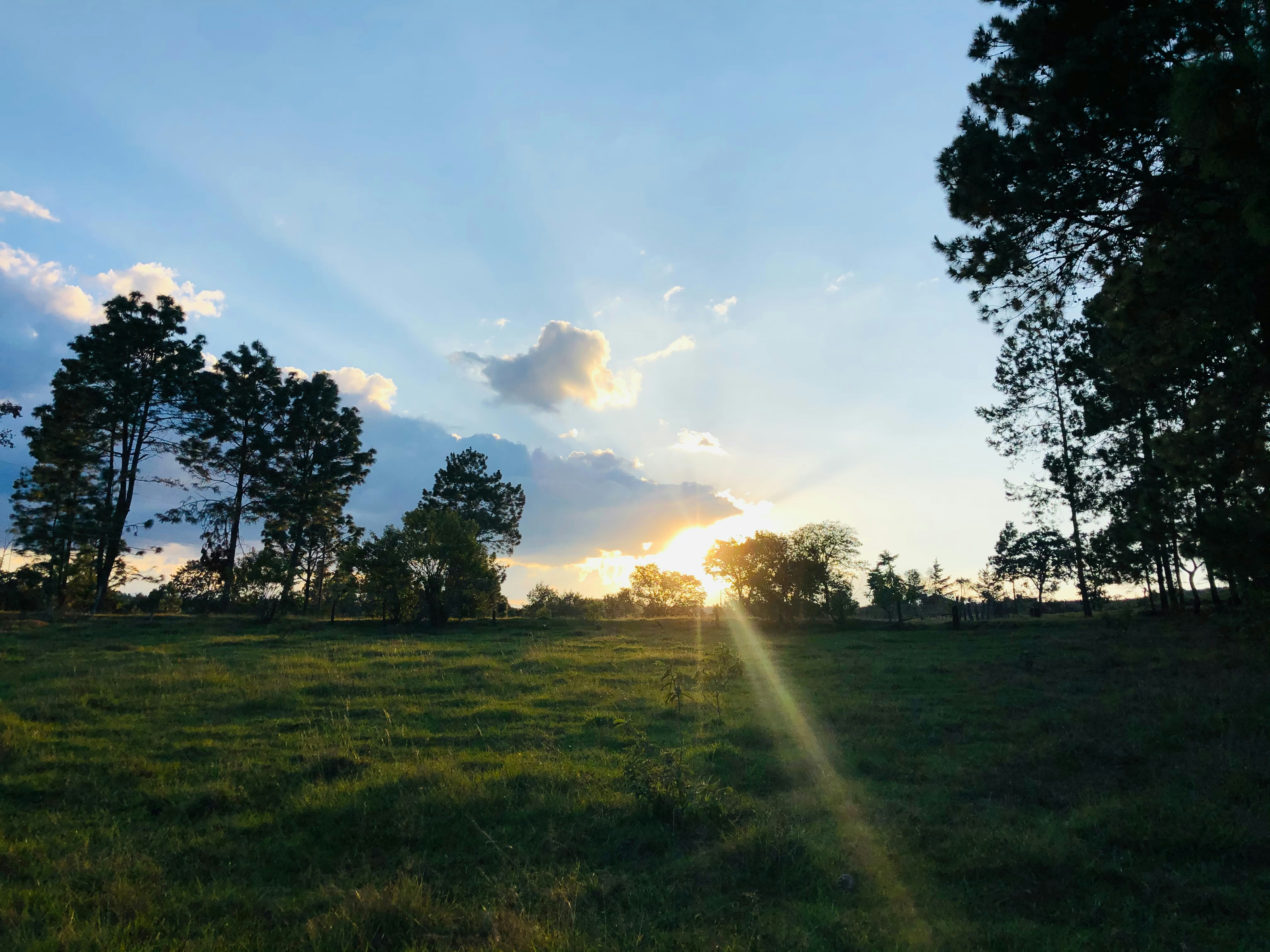 Photo by estuardosotz