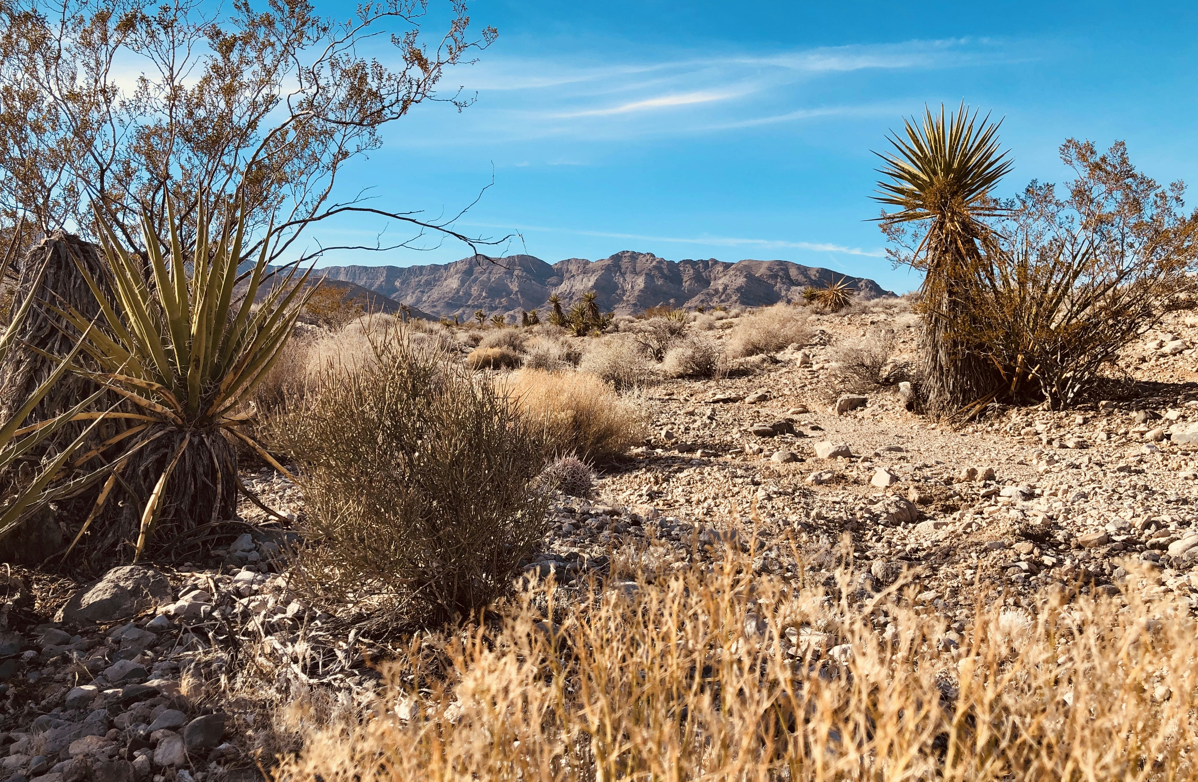 Photo by artofadventure