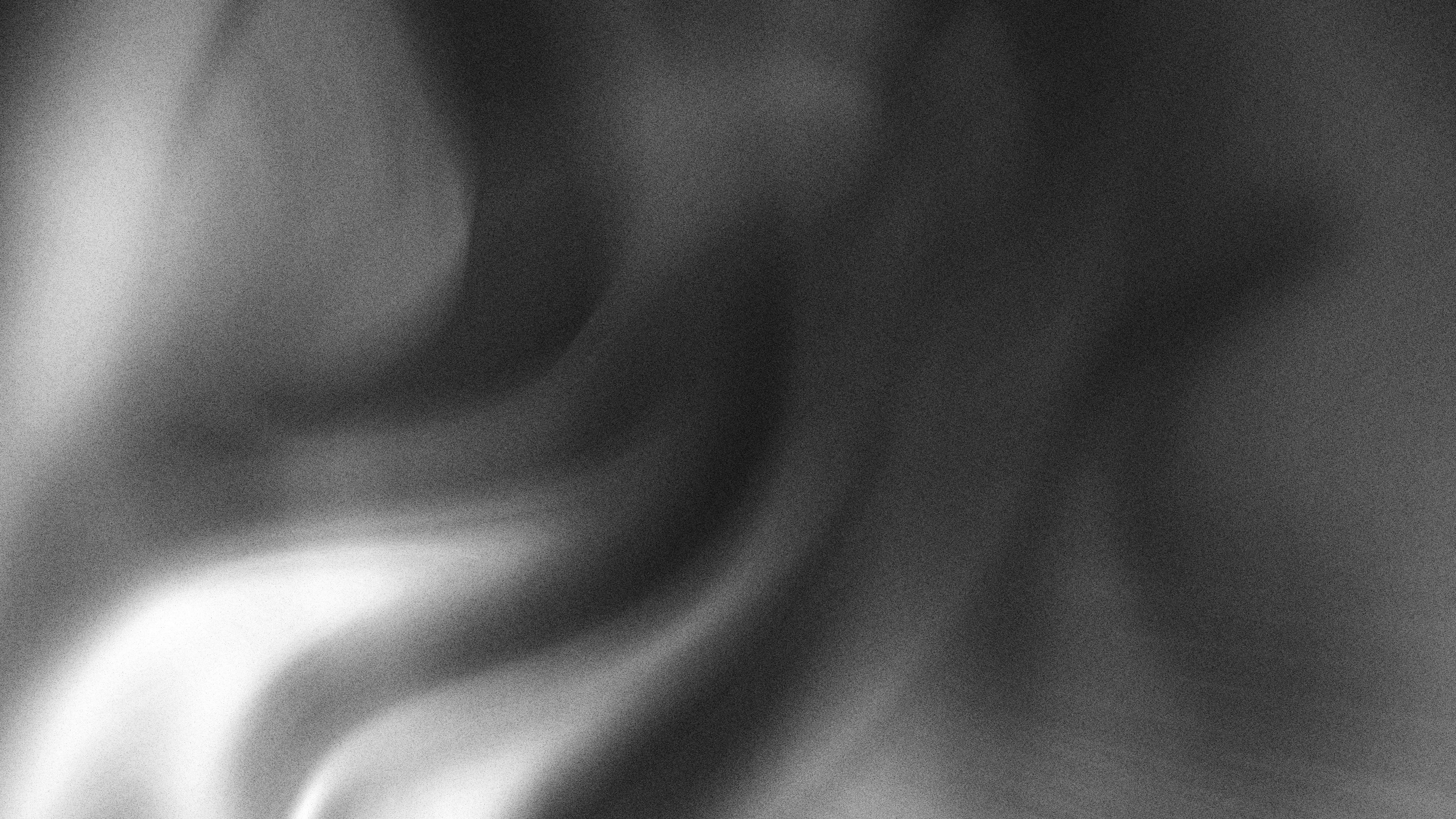 Photo by universtock