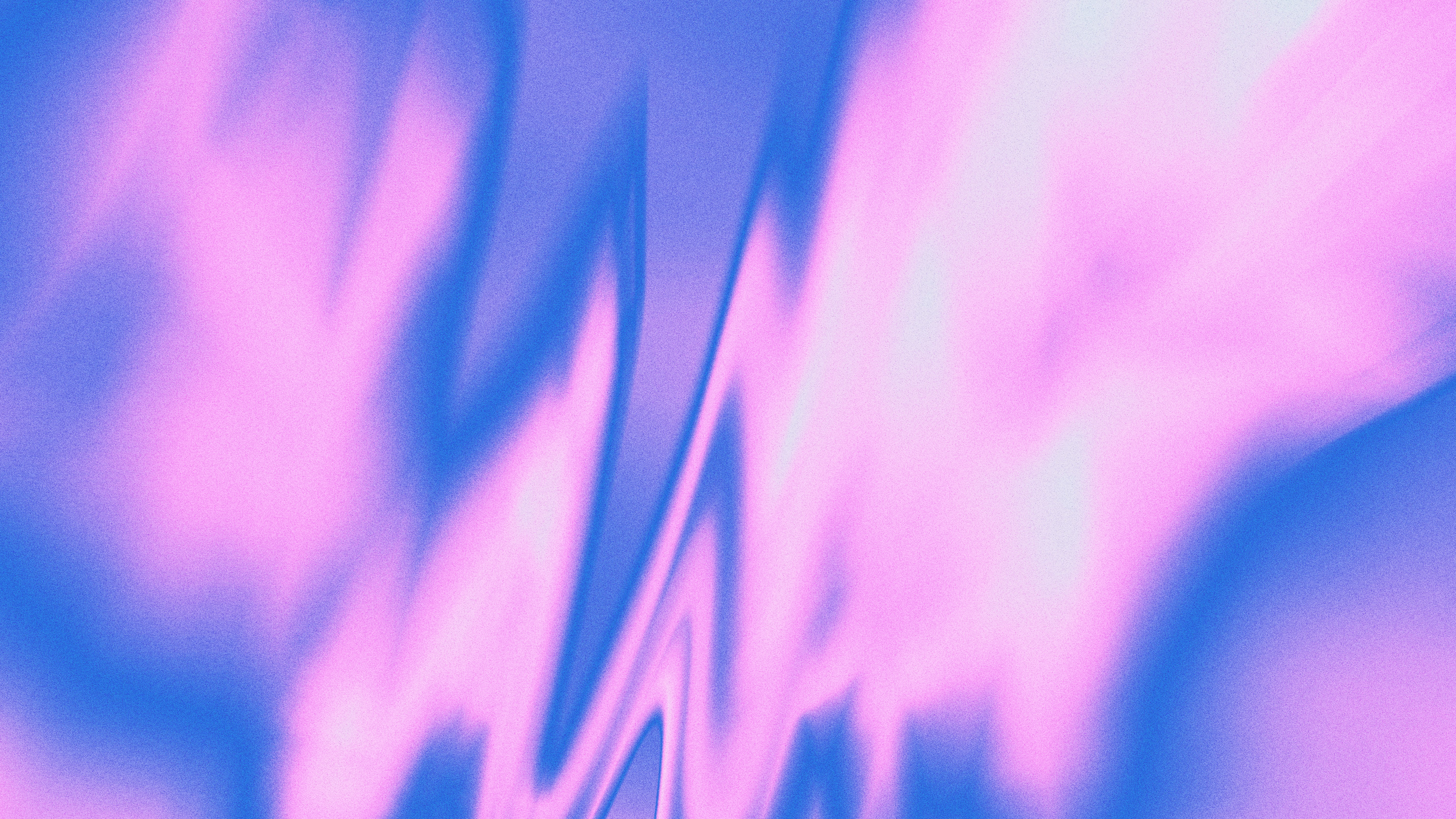 Photo by universtock