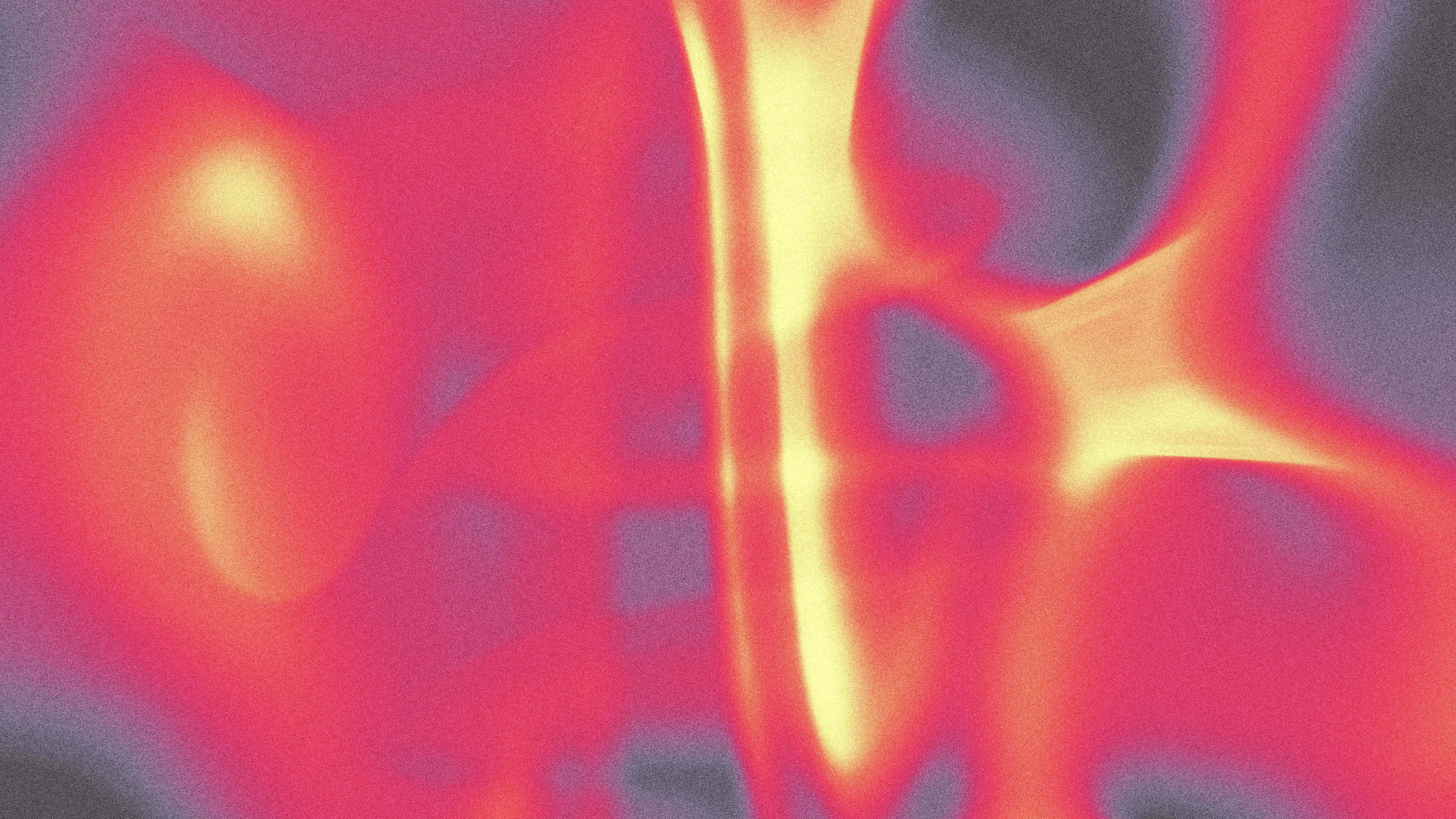 Photo by universtock