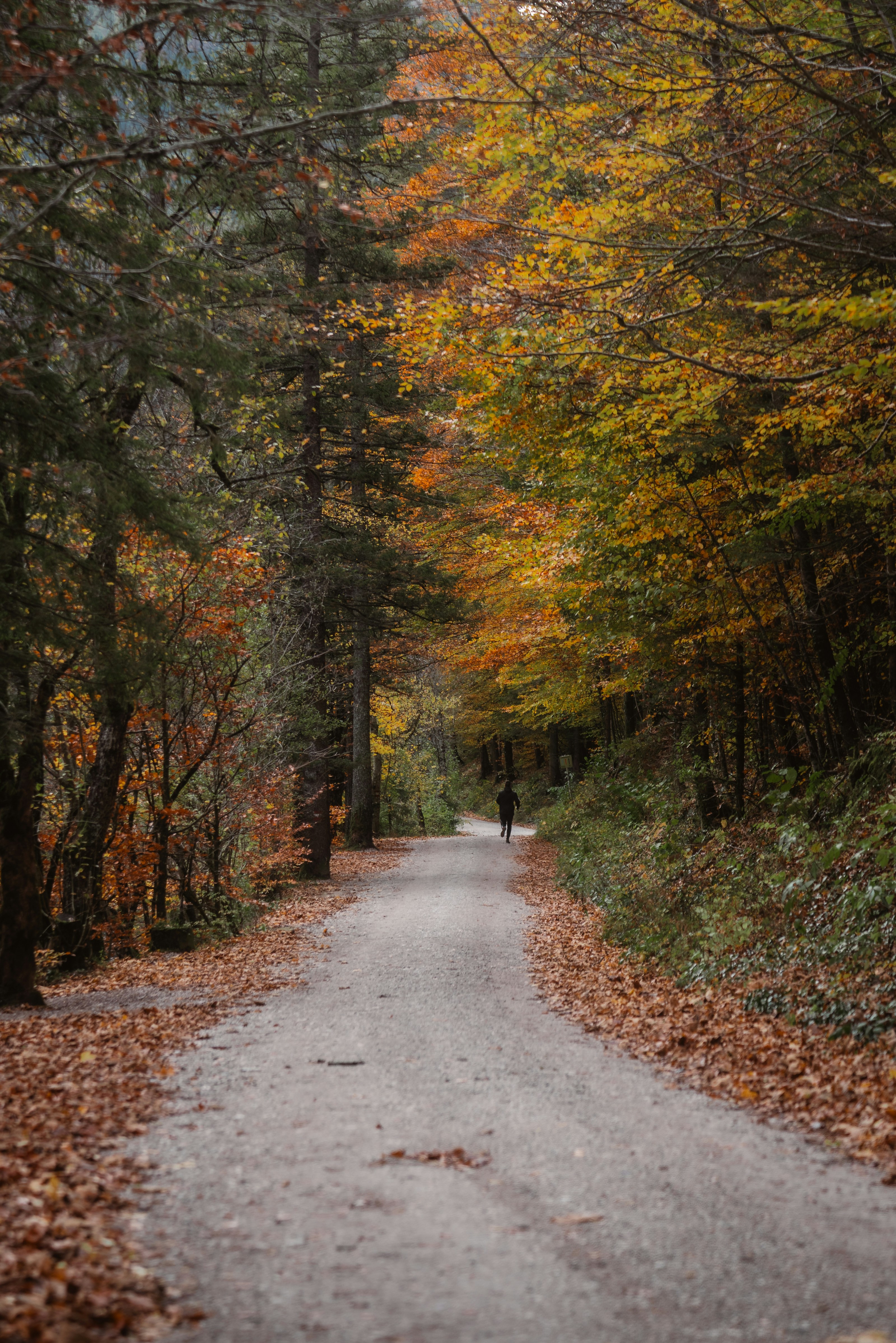 Photo by ahmetyuksek