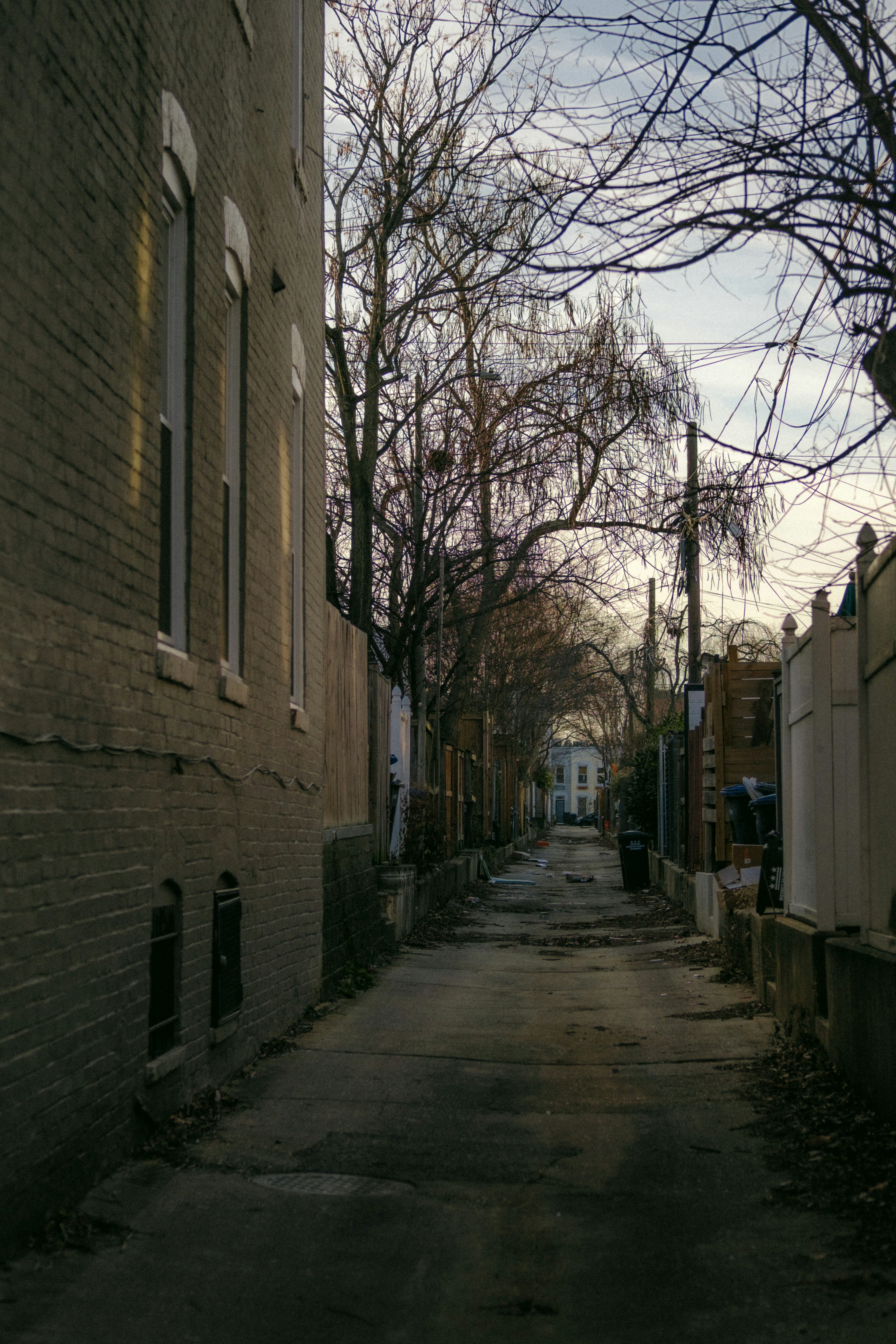 Photo by marsupialpudding