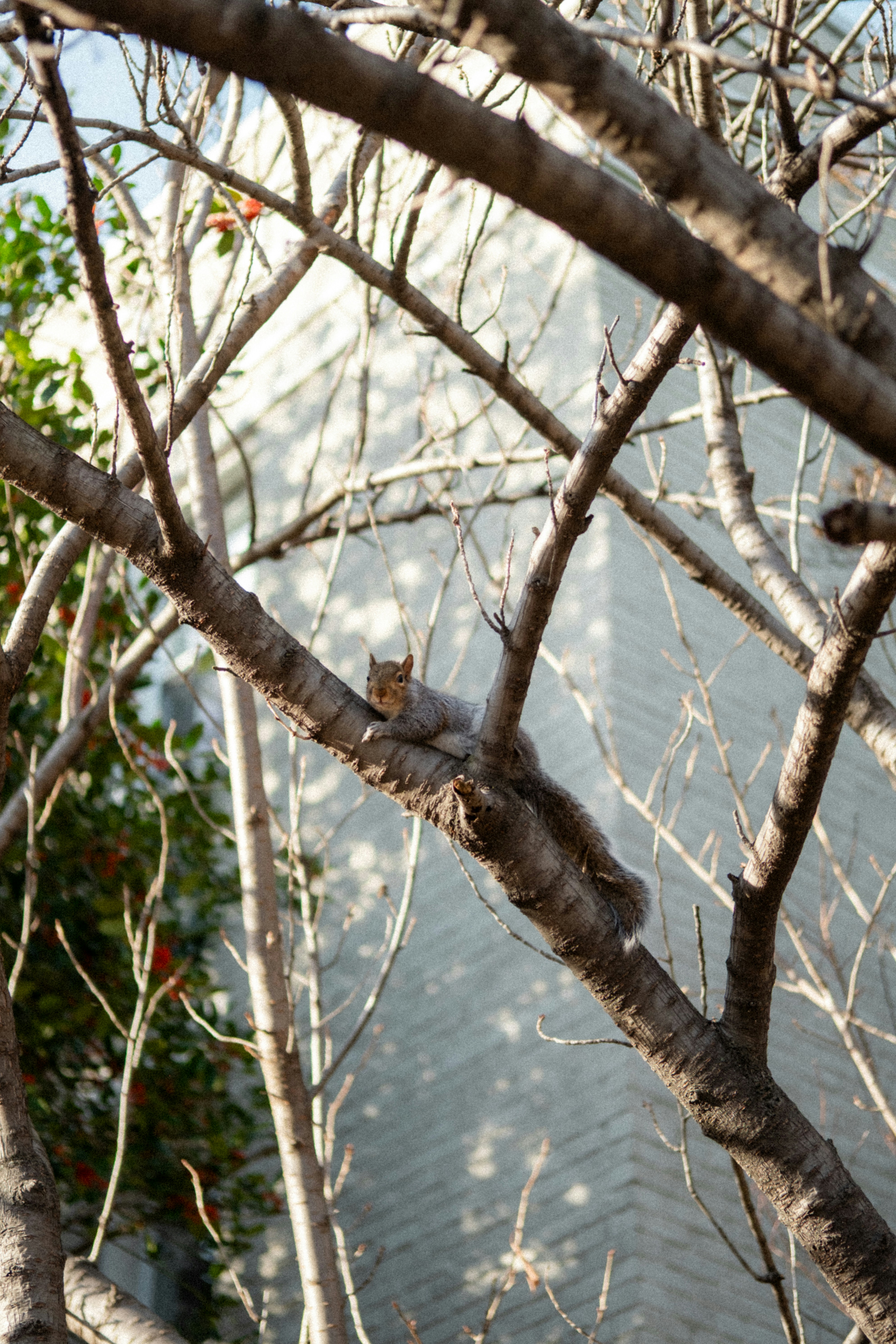 Photo by marsupialpudding