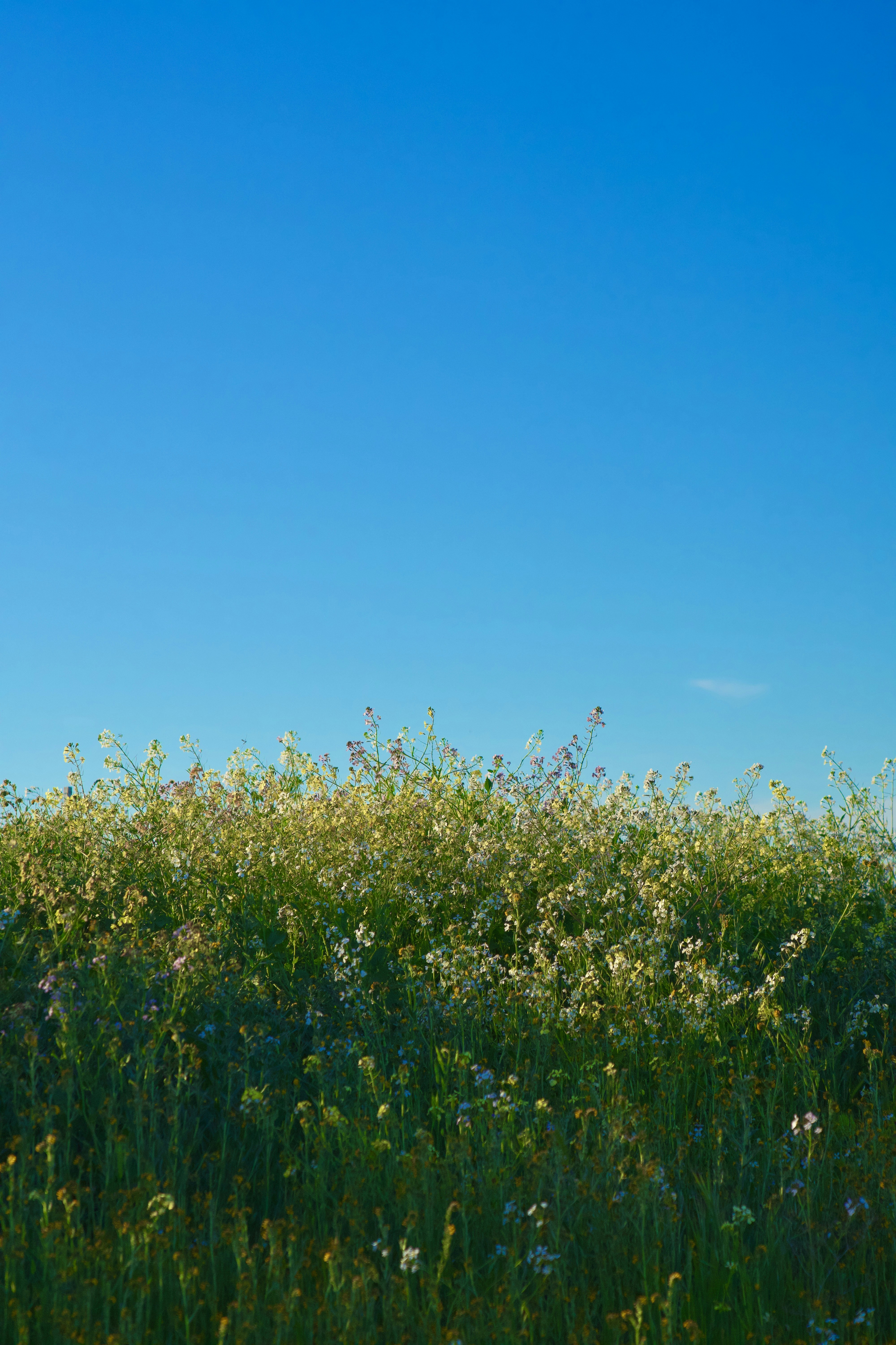 Photo by spencer_demera