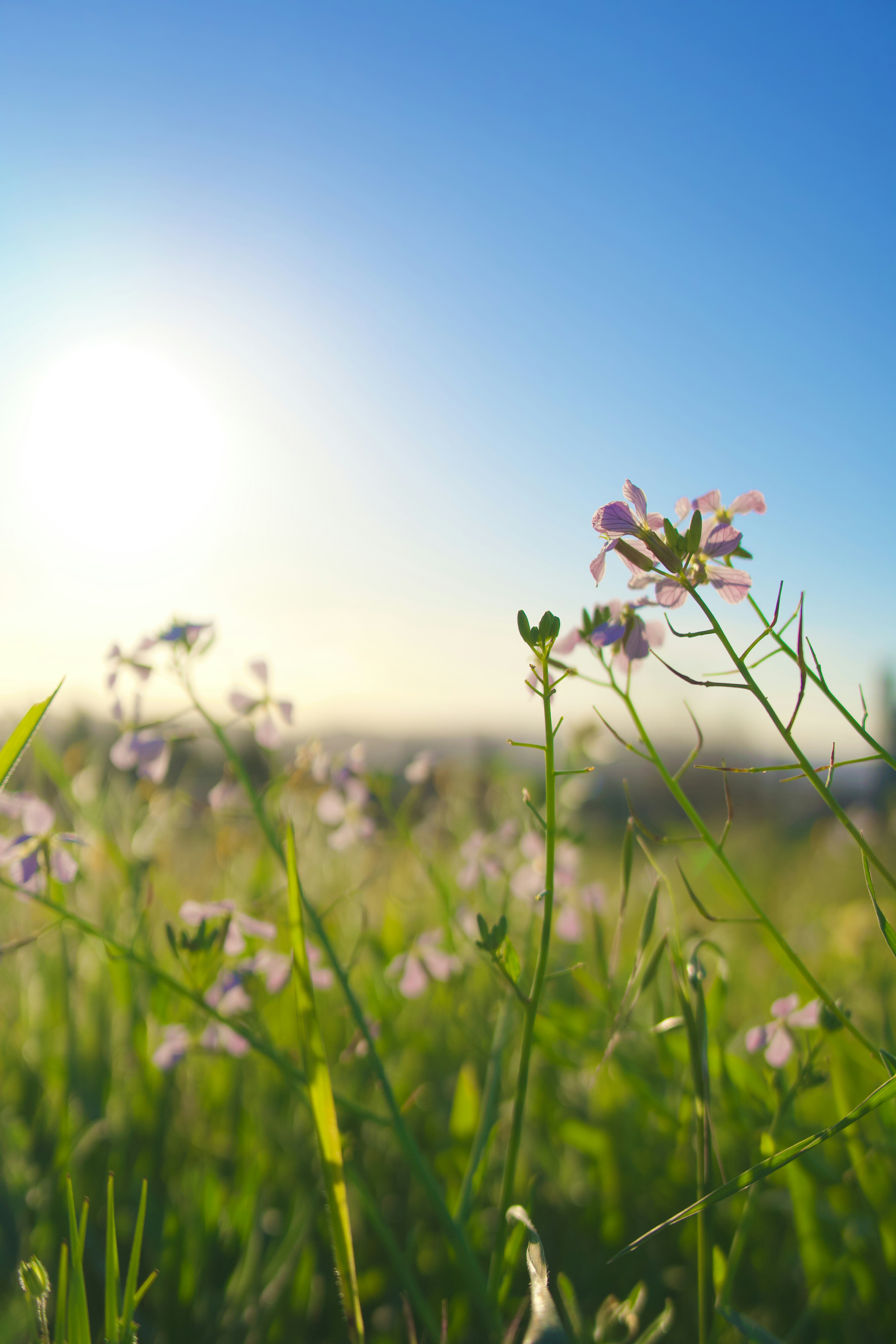 Photo by spencer_demera