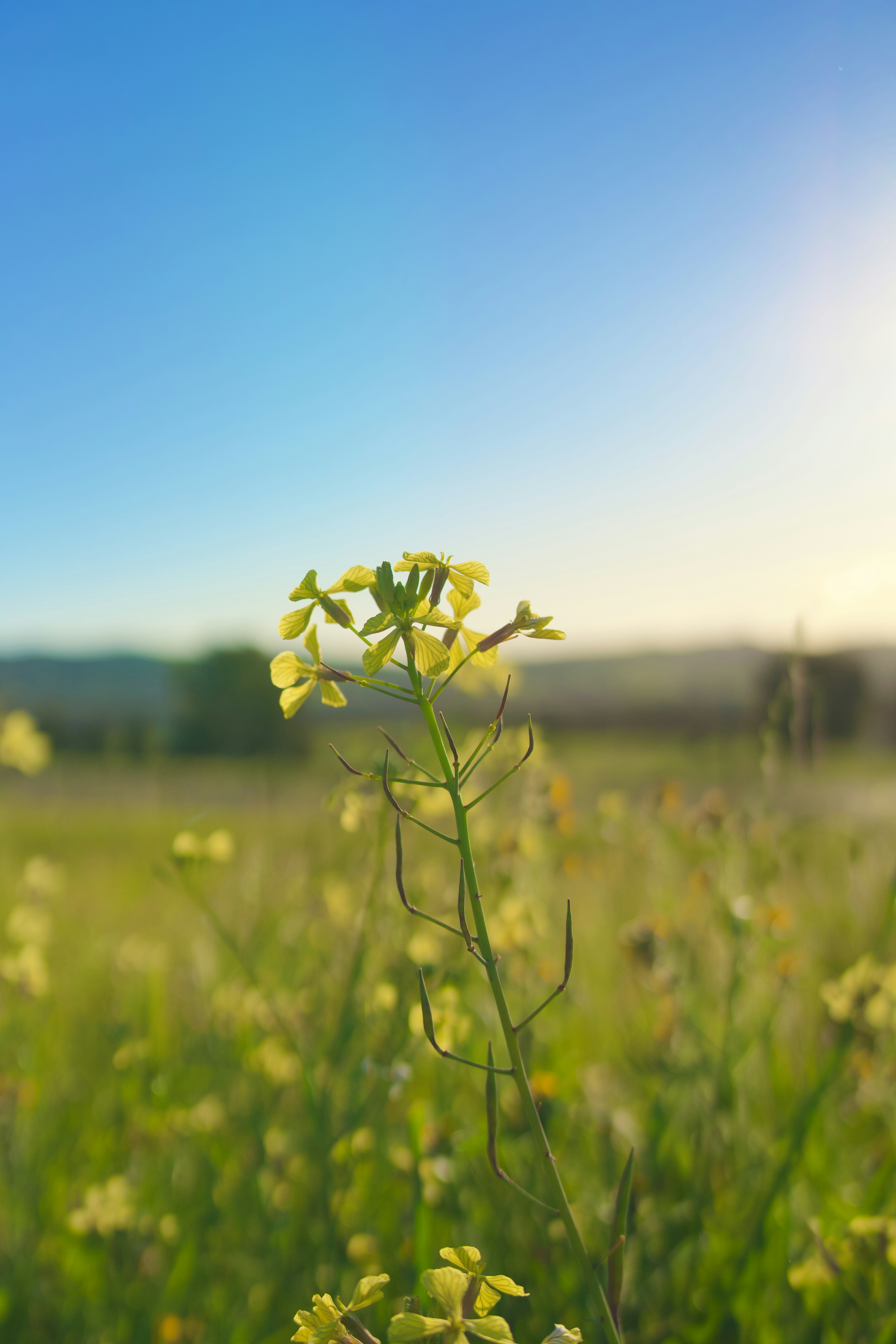 Photo by spencer_demera