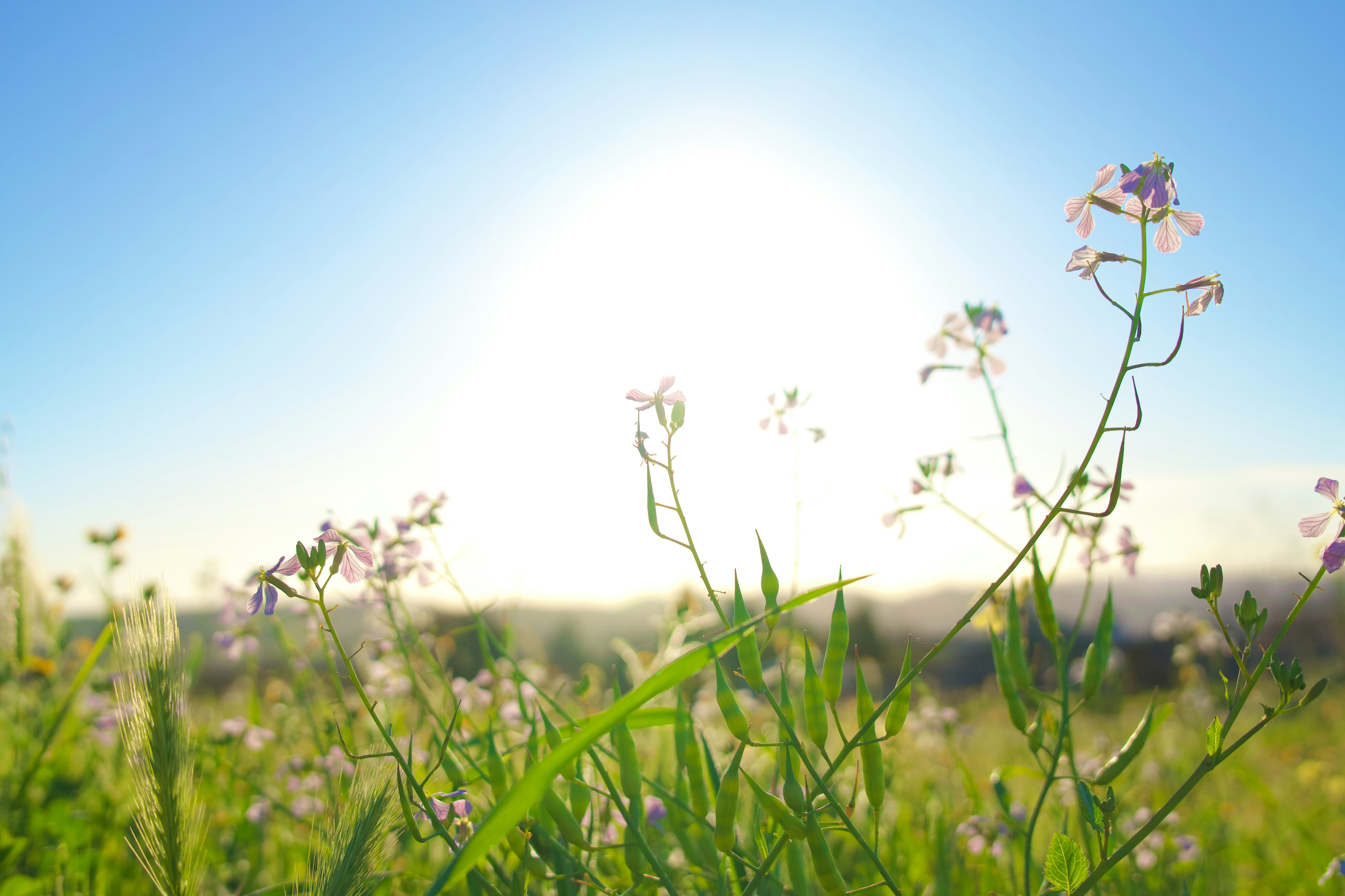 Photo by spencer_demera